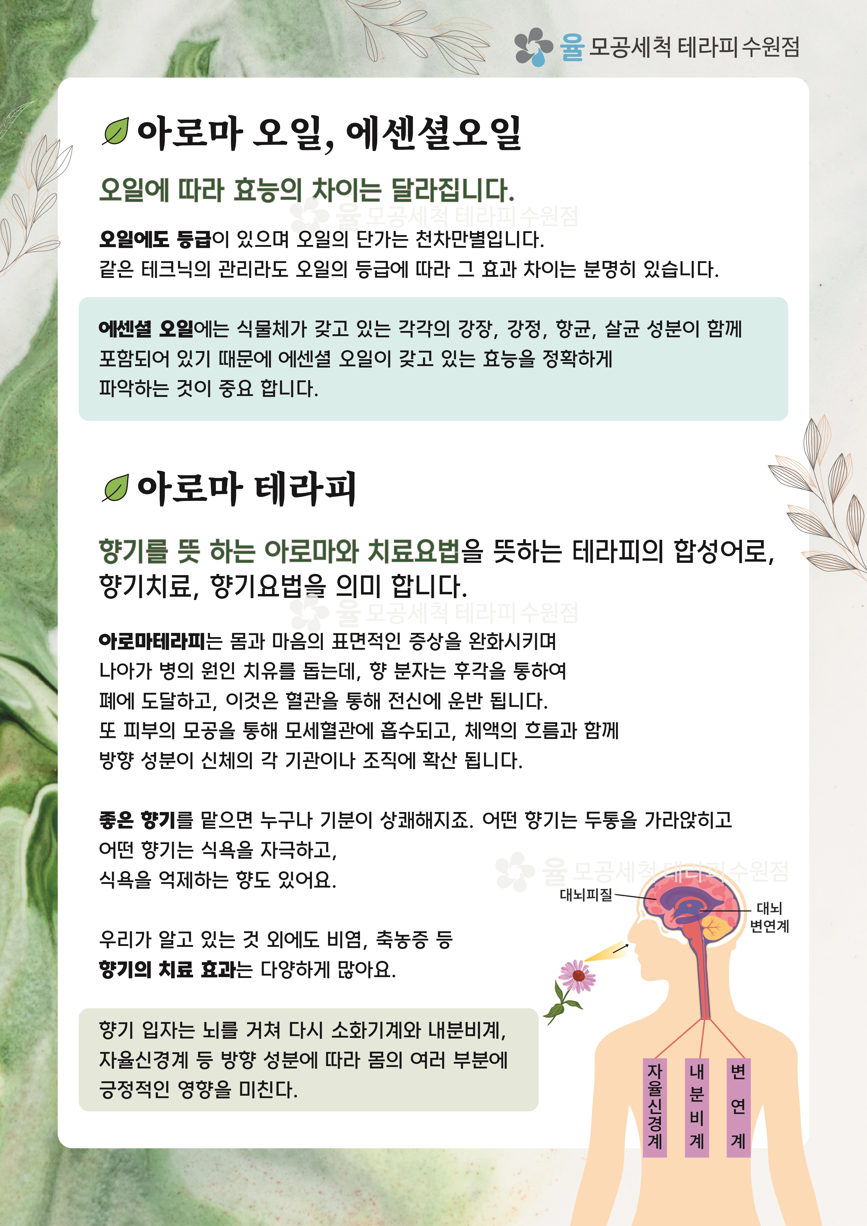 율모공세척테라피 & 바디관리 수원점