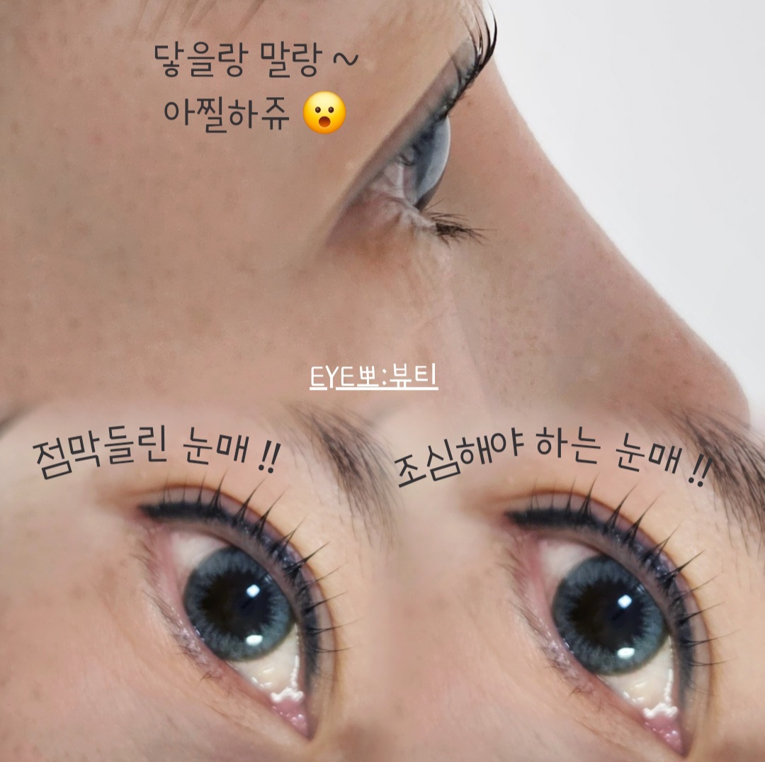 아이뽀뷰티