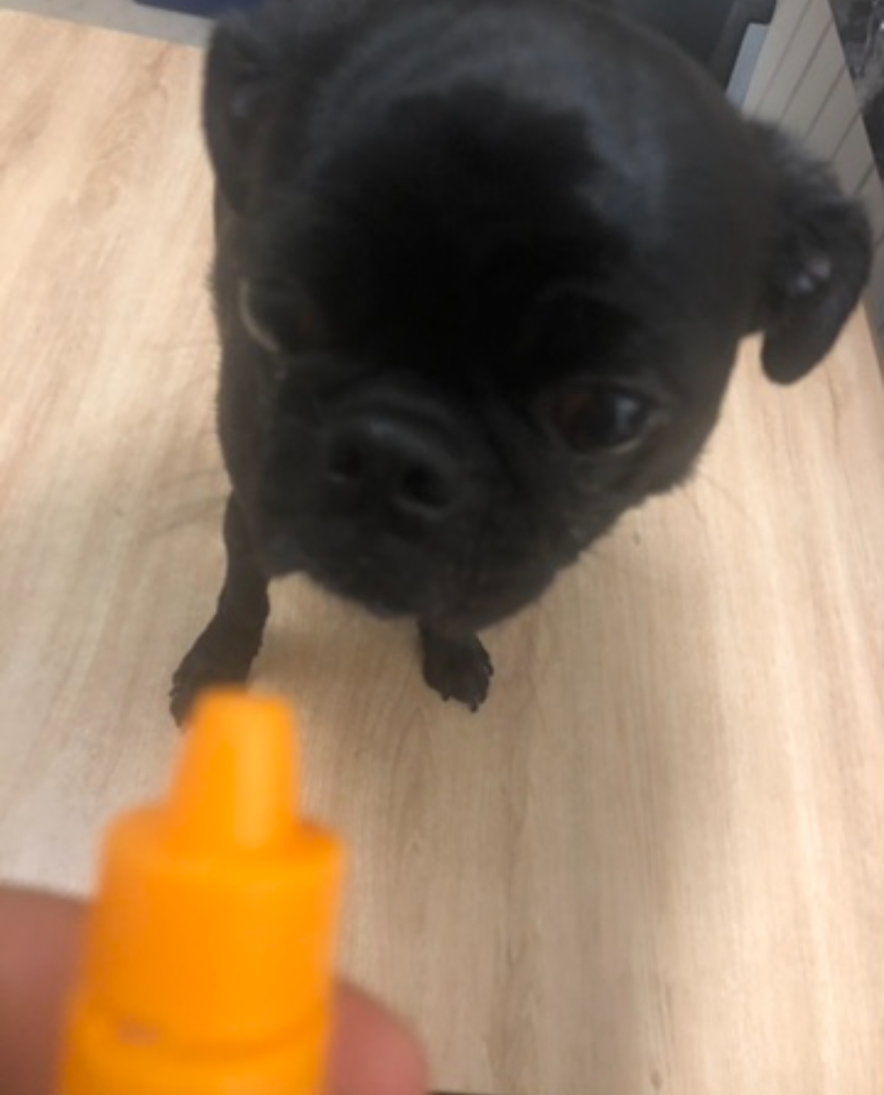 그대애개 대표 이미지