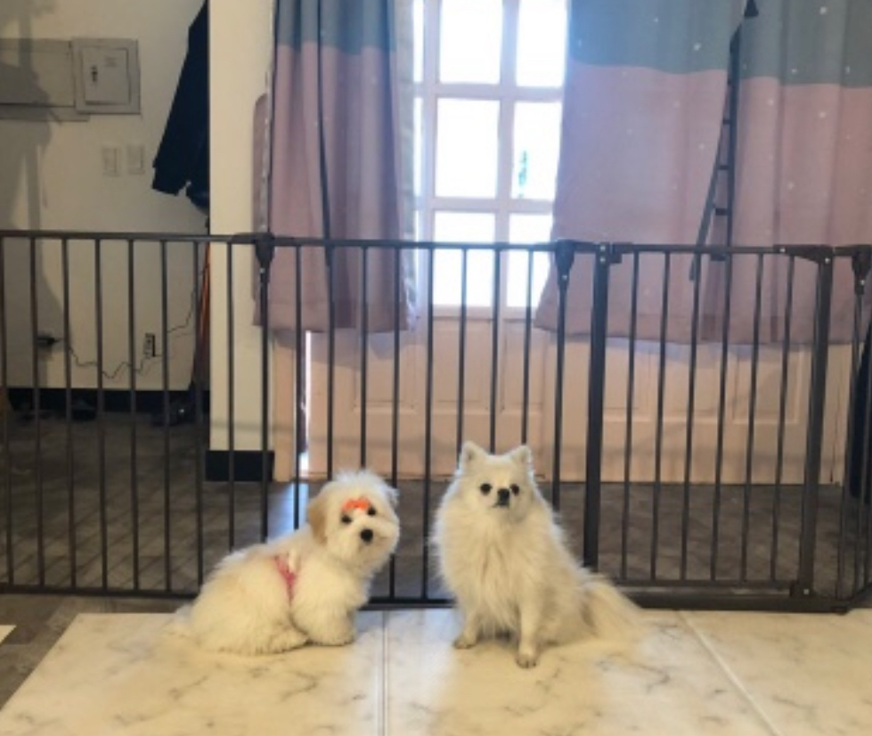 그대애개 대표 이미지