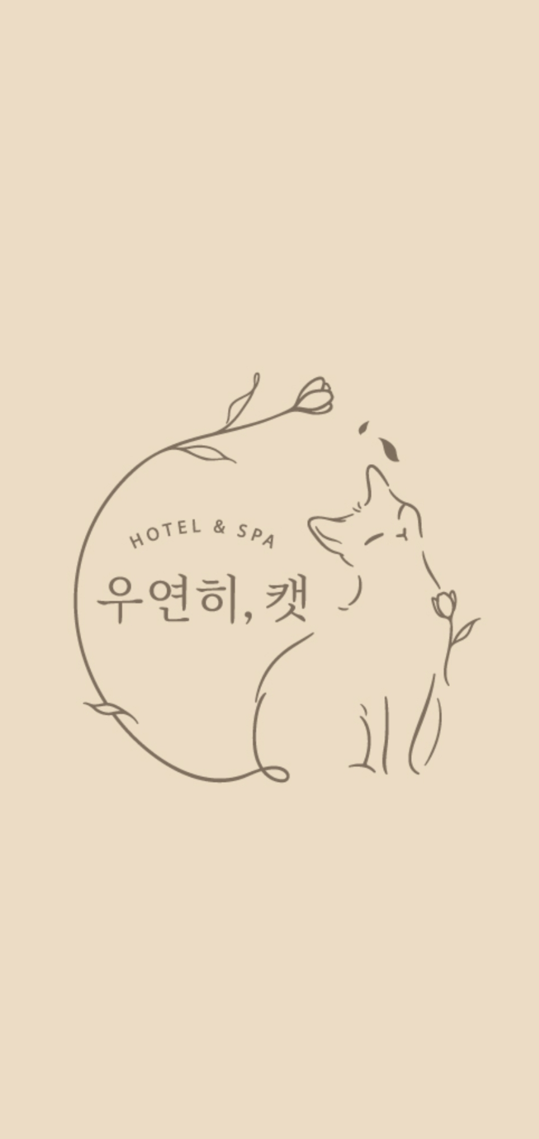 고양이미용&호텔 우연히캣 대표 이미지