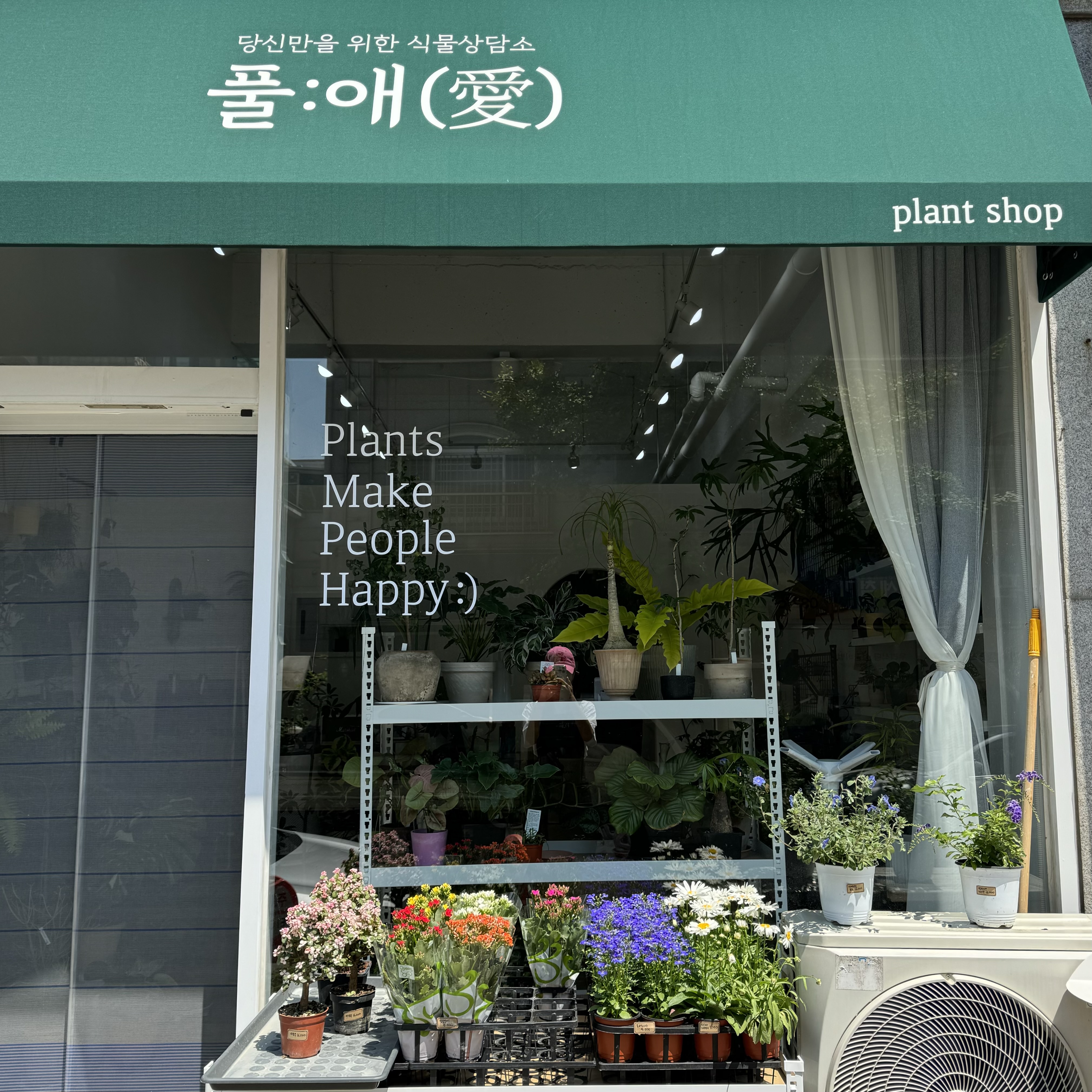 풀애