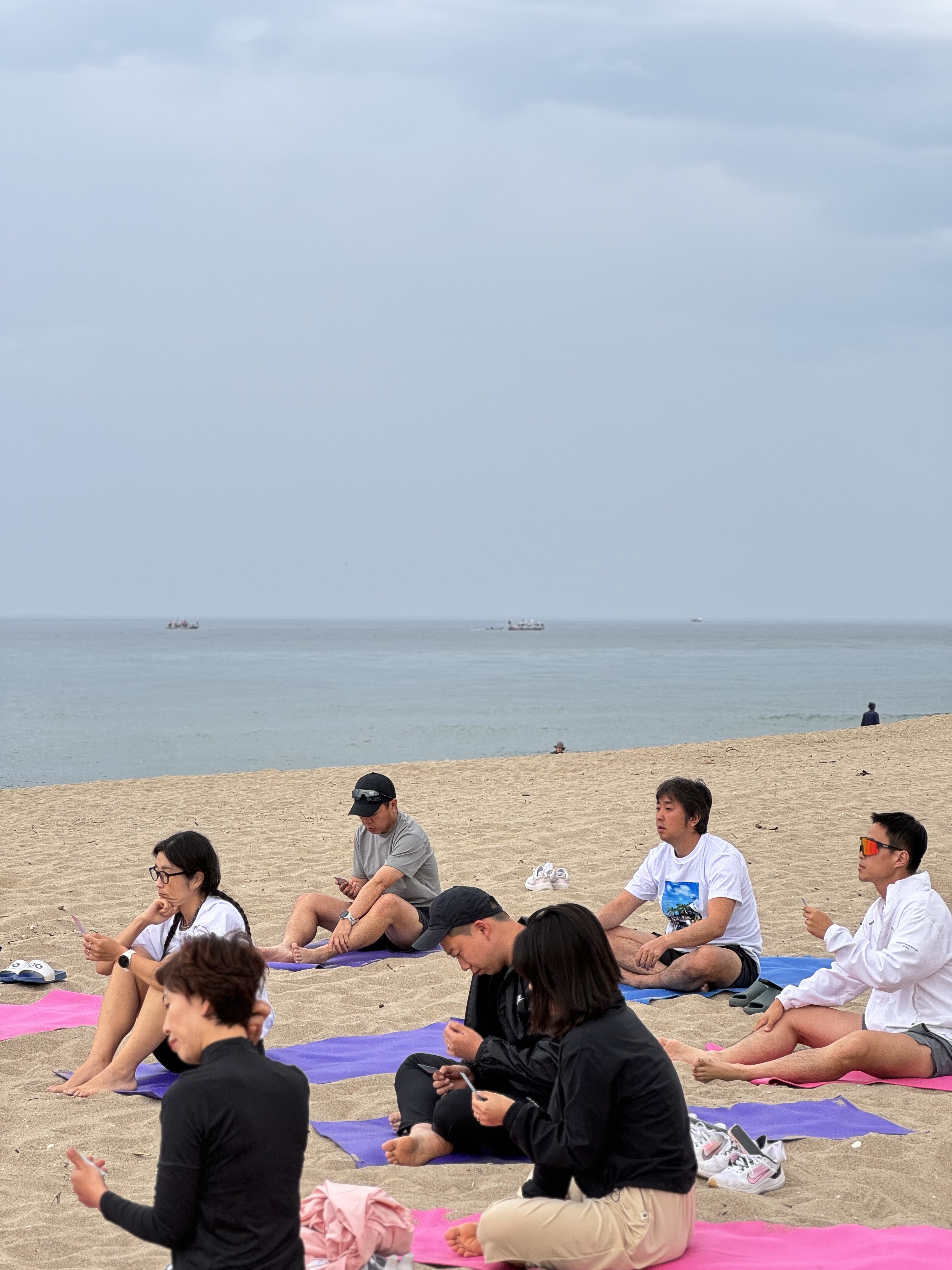 트립아보 대표 이미지