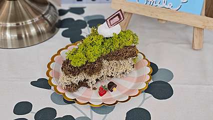 스칸디아모스 케이크 만들기 대표사진