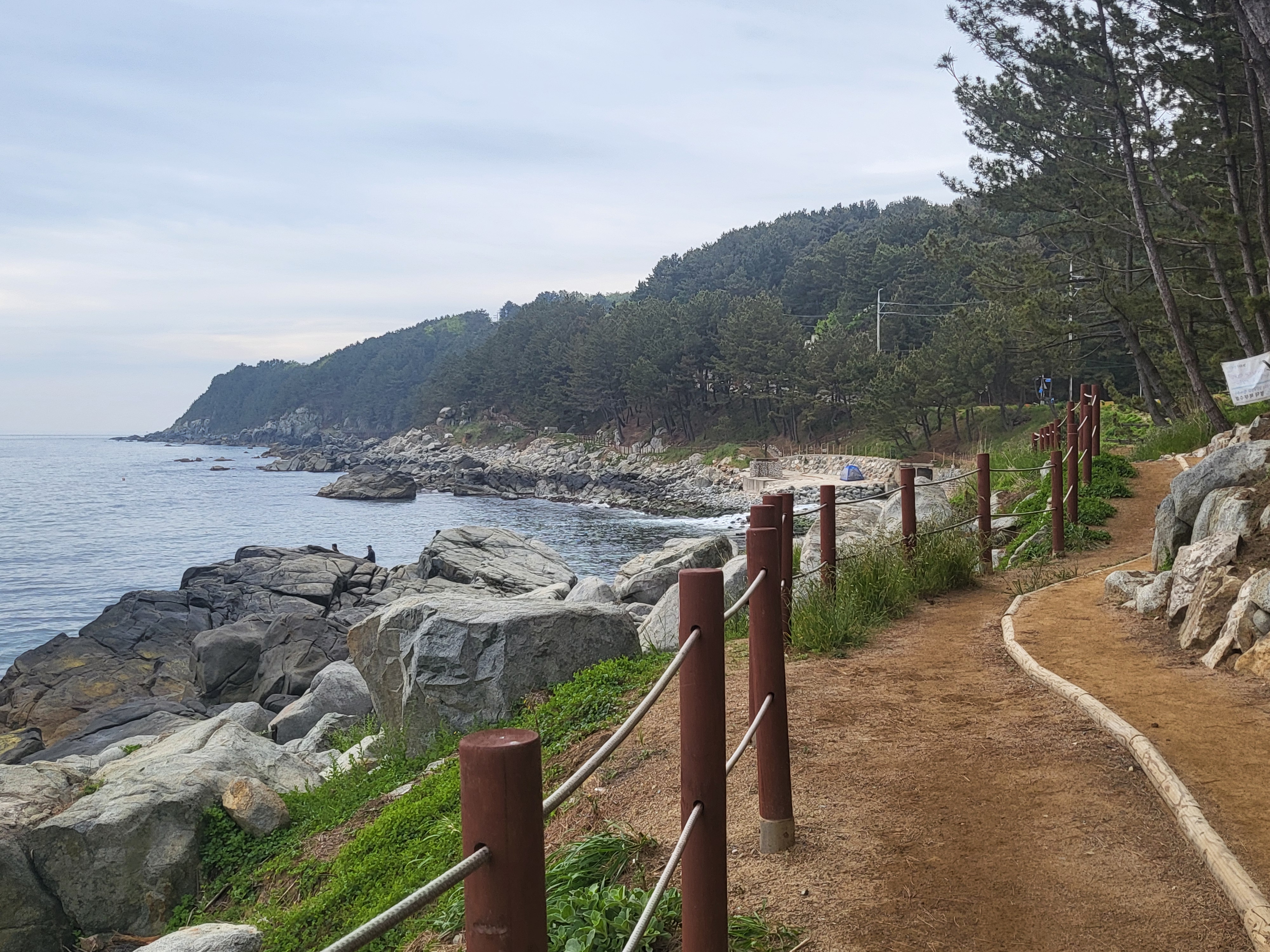 해돋이민박