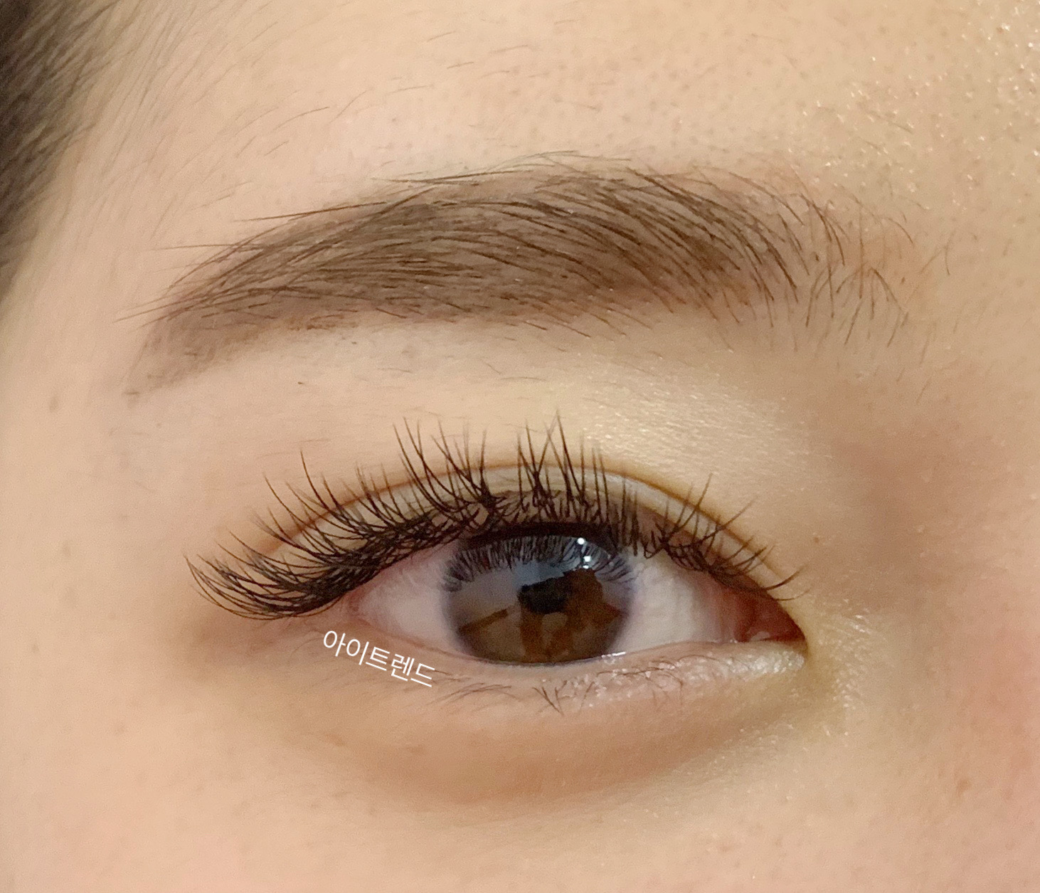 아이트렌드 대표 이미지