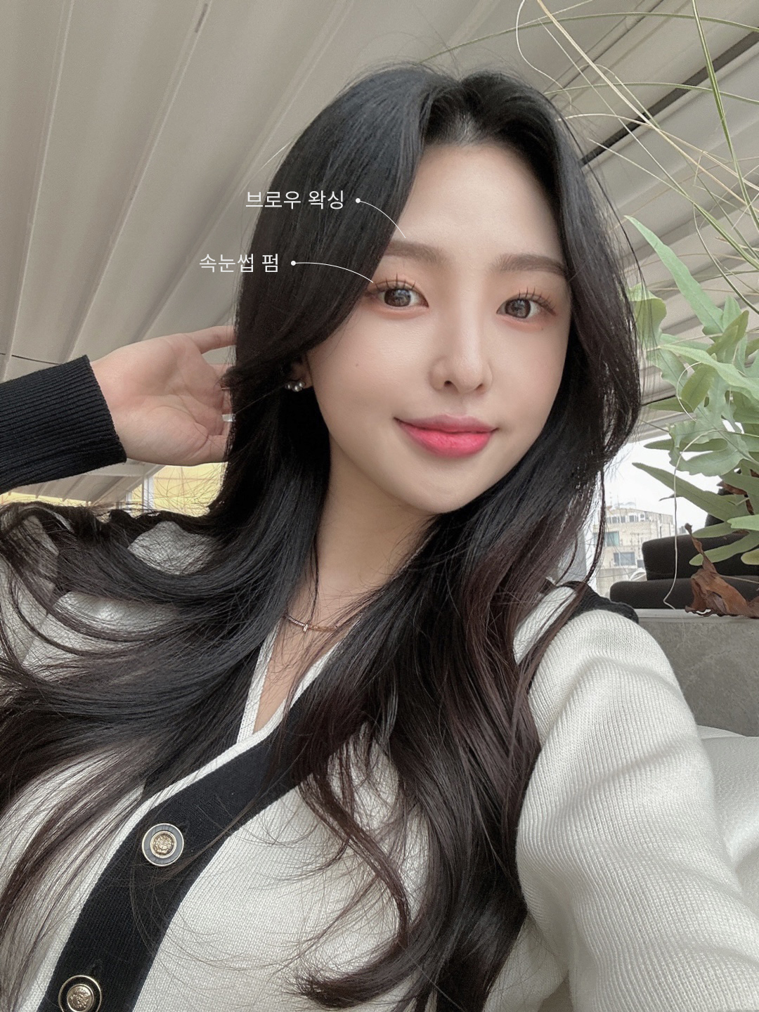 브로우조히