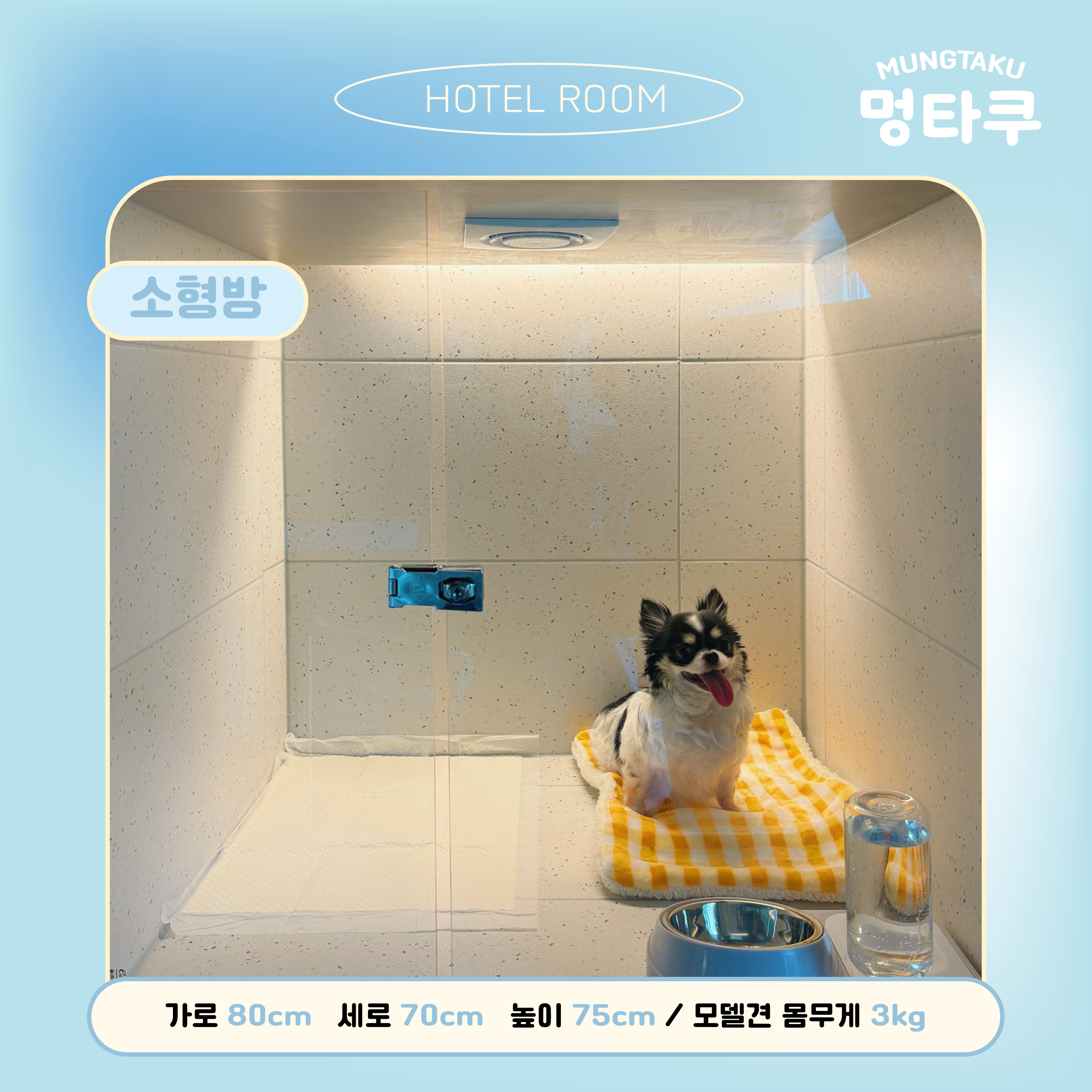 멍타쿠 대표 이미지