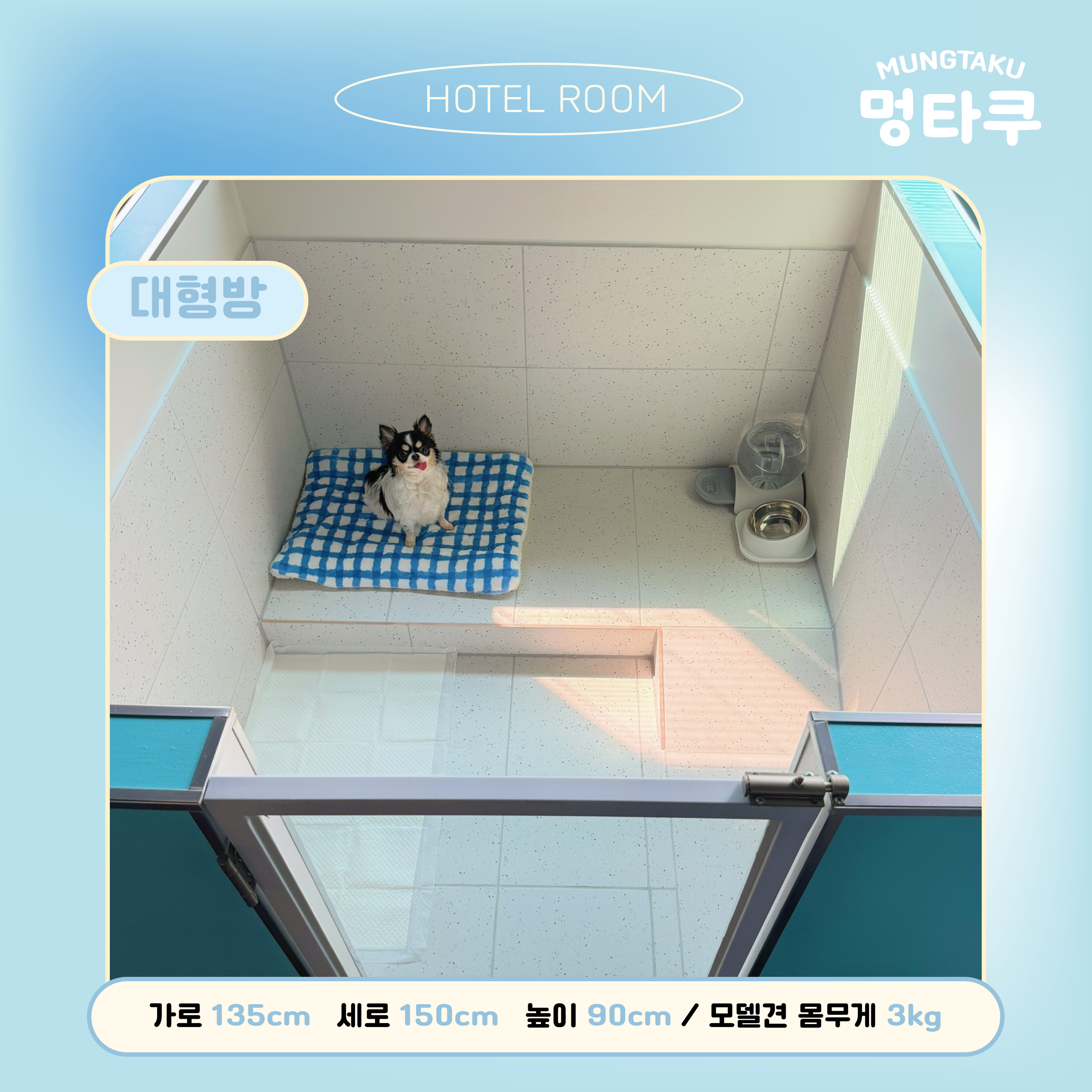 멍타쿠 반려동물 동반 애견카페
