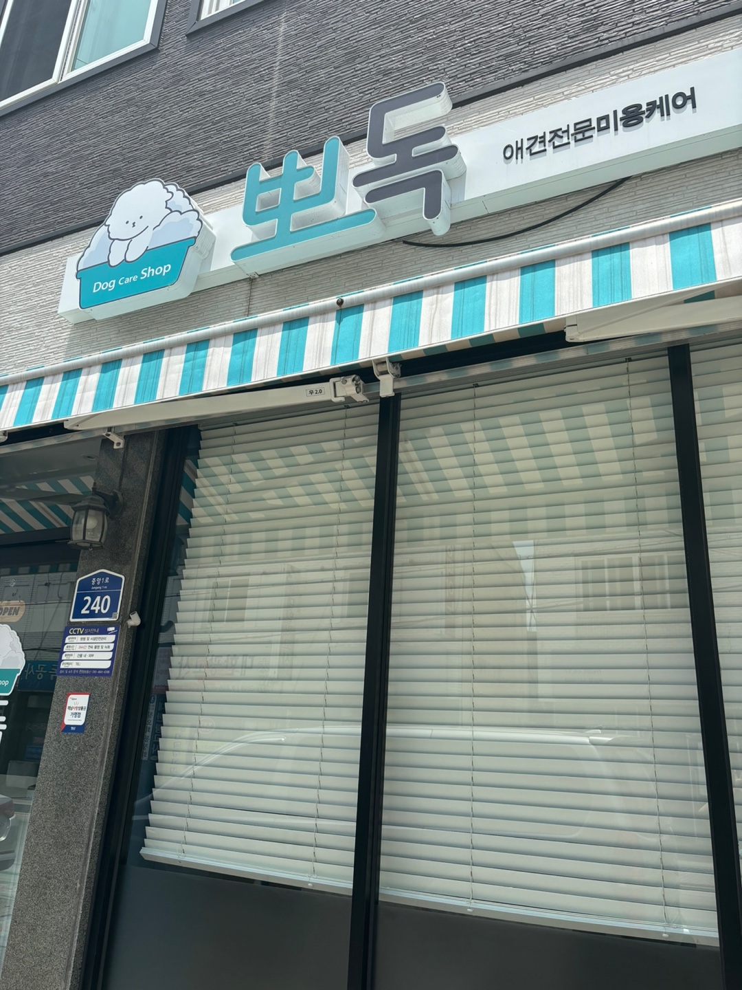 뽀독