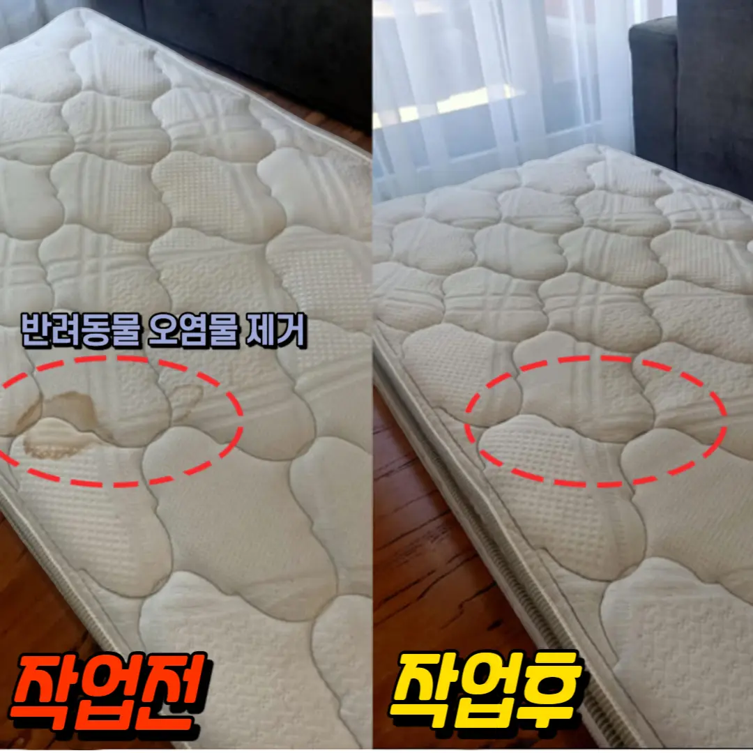 타고난꼼꼼이 홈케어 제주