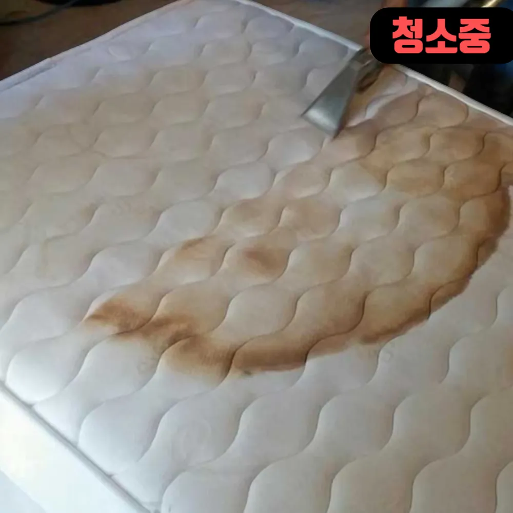 타고난꼼꼼이 대표 이미지