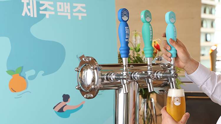 [10%할인]Jeju Brews Tasting Tour 대표사진