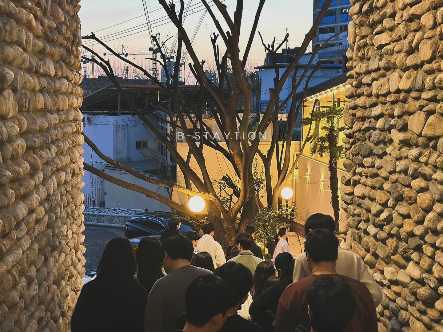 청년새마을협동조합