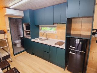 여우별꽃