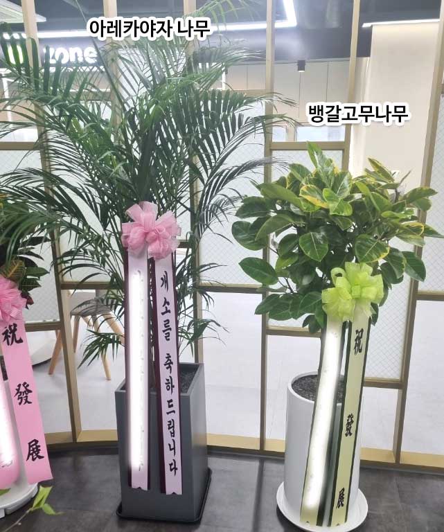 동탄화분팜