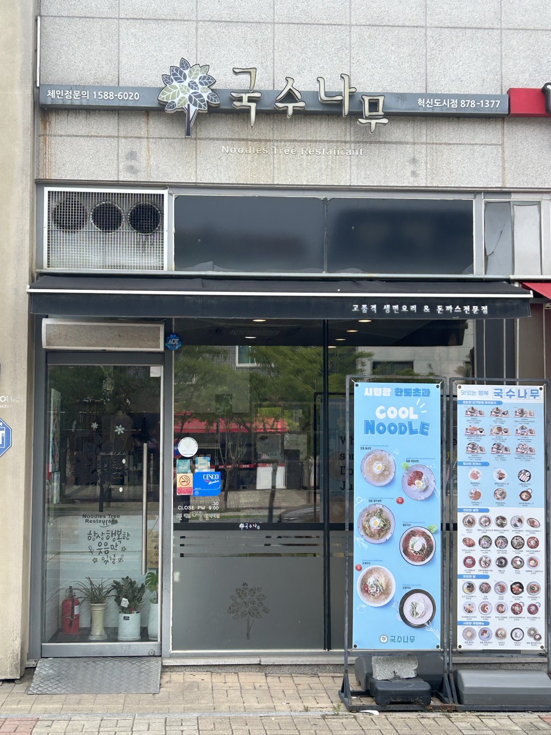 국수나무 충북혁신도시점