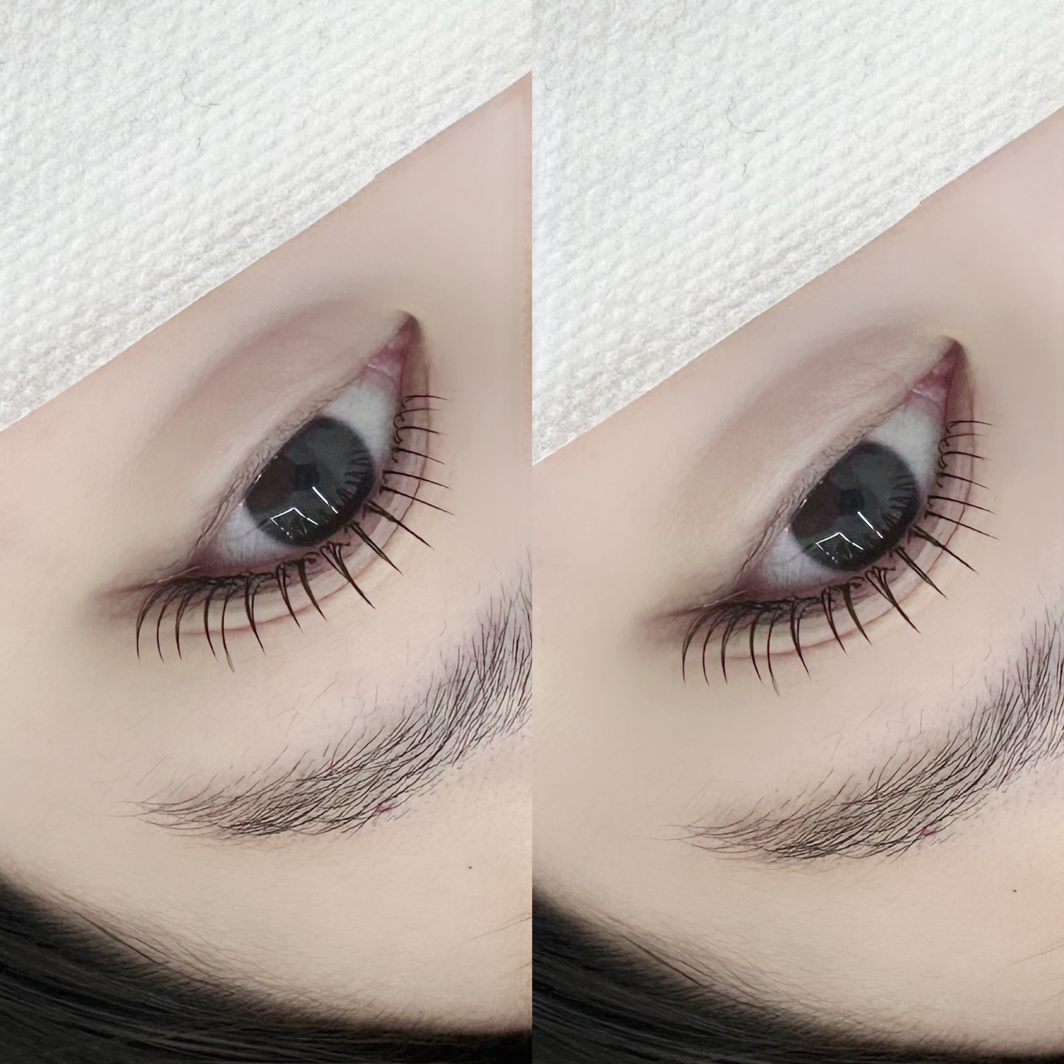 내내어여쁘리