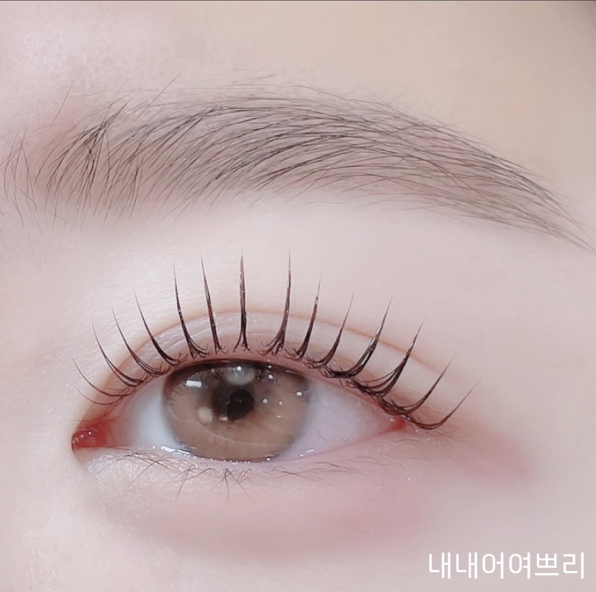 내내어여쁘리