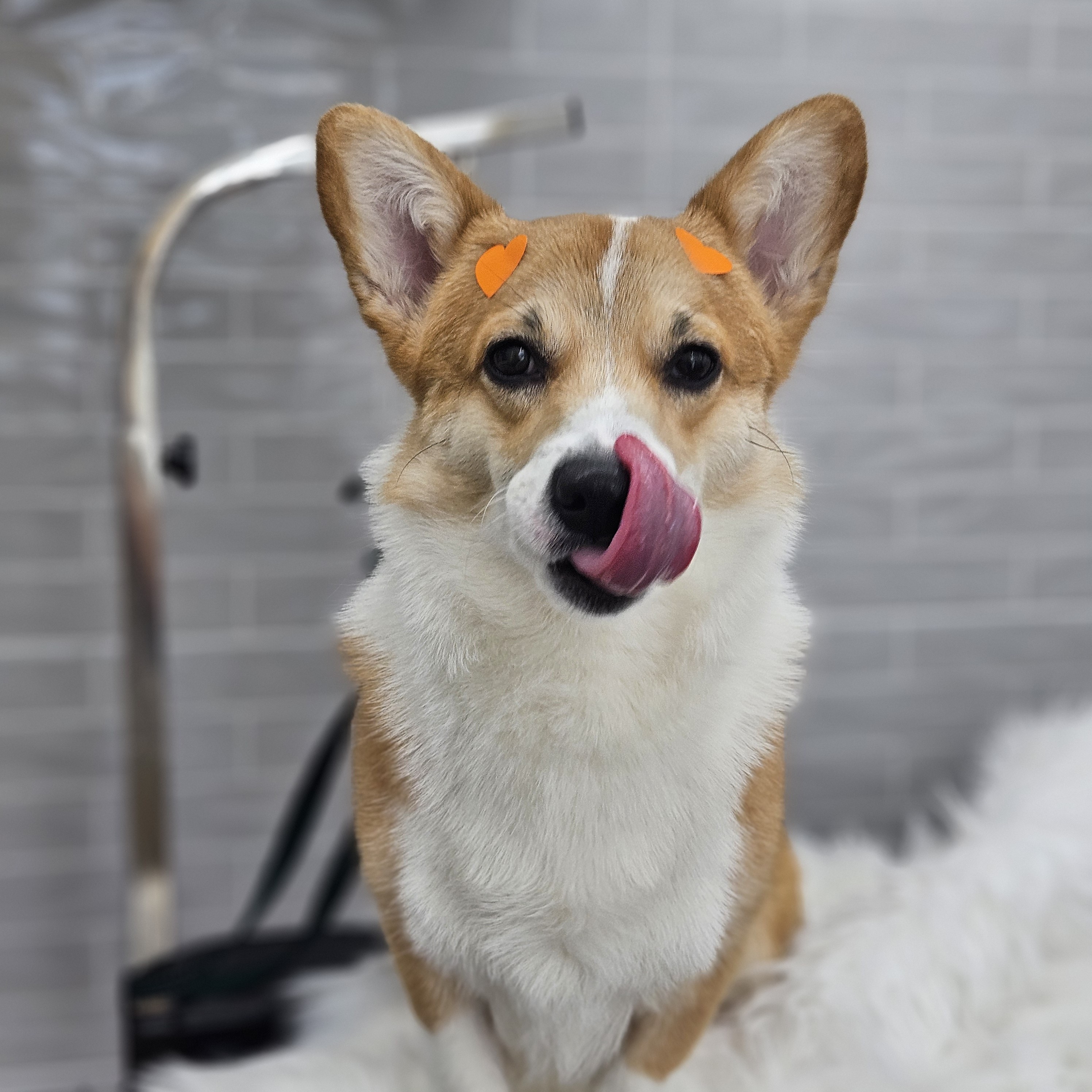 까끌레멍 대표 이미지