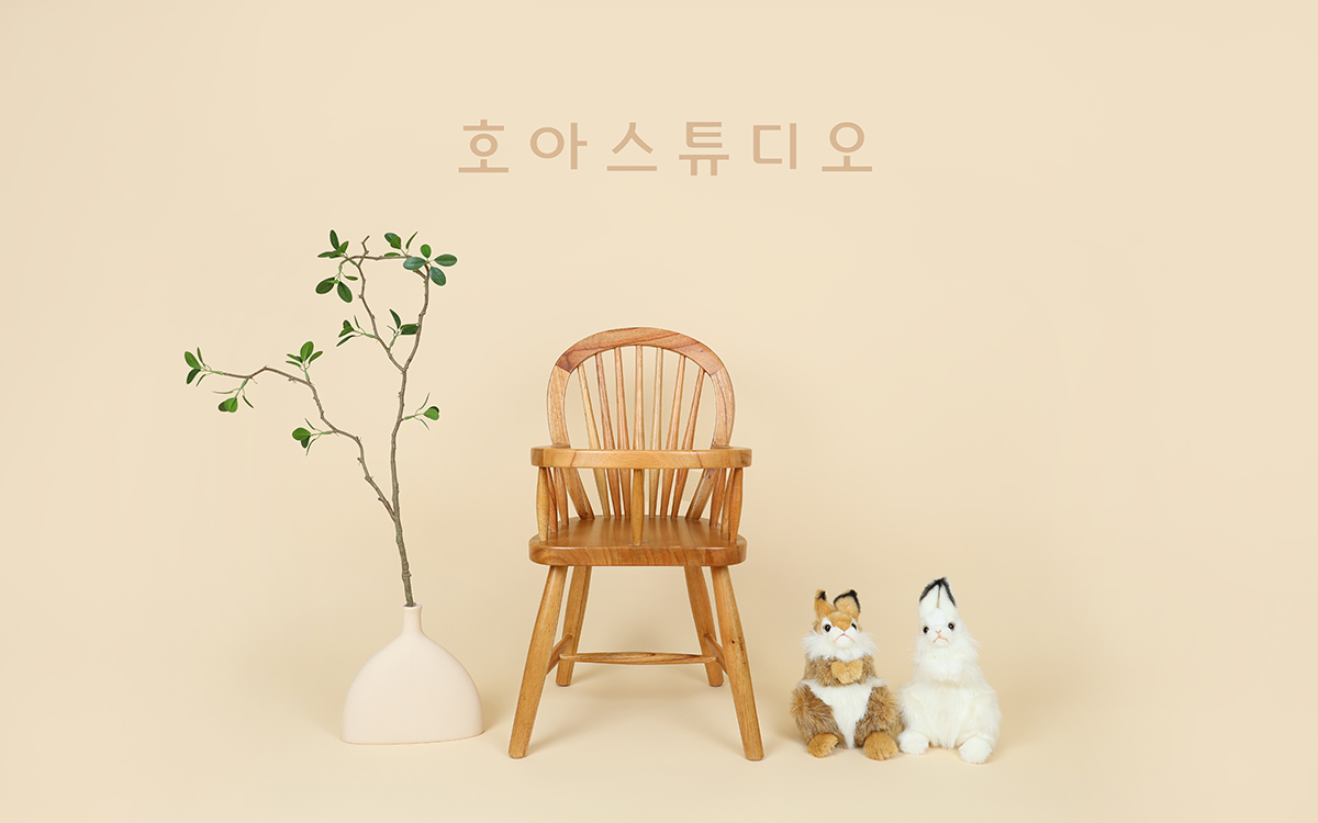 호아스튜디오