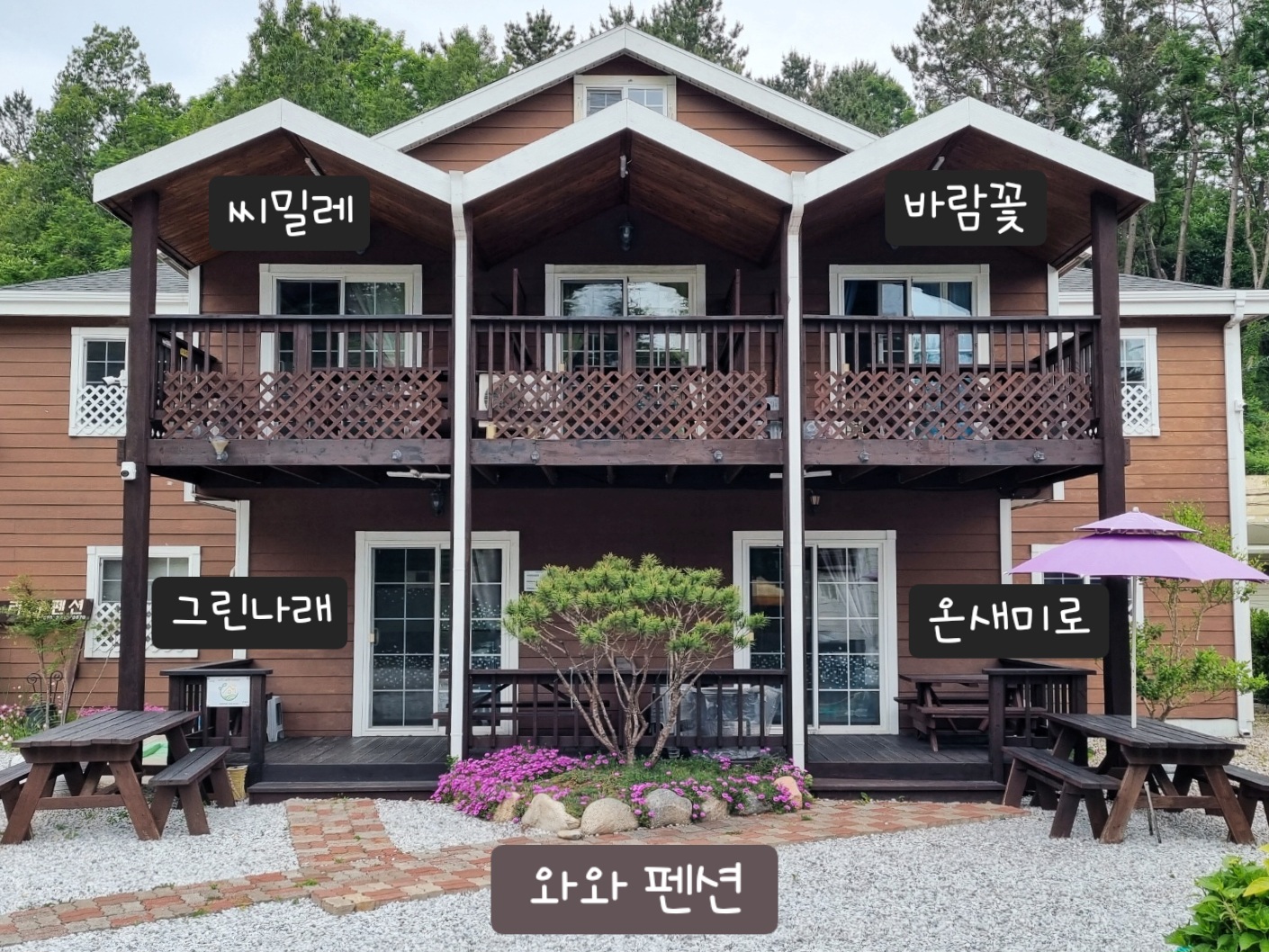놀러와펜션 반려동물 동반 애견카페