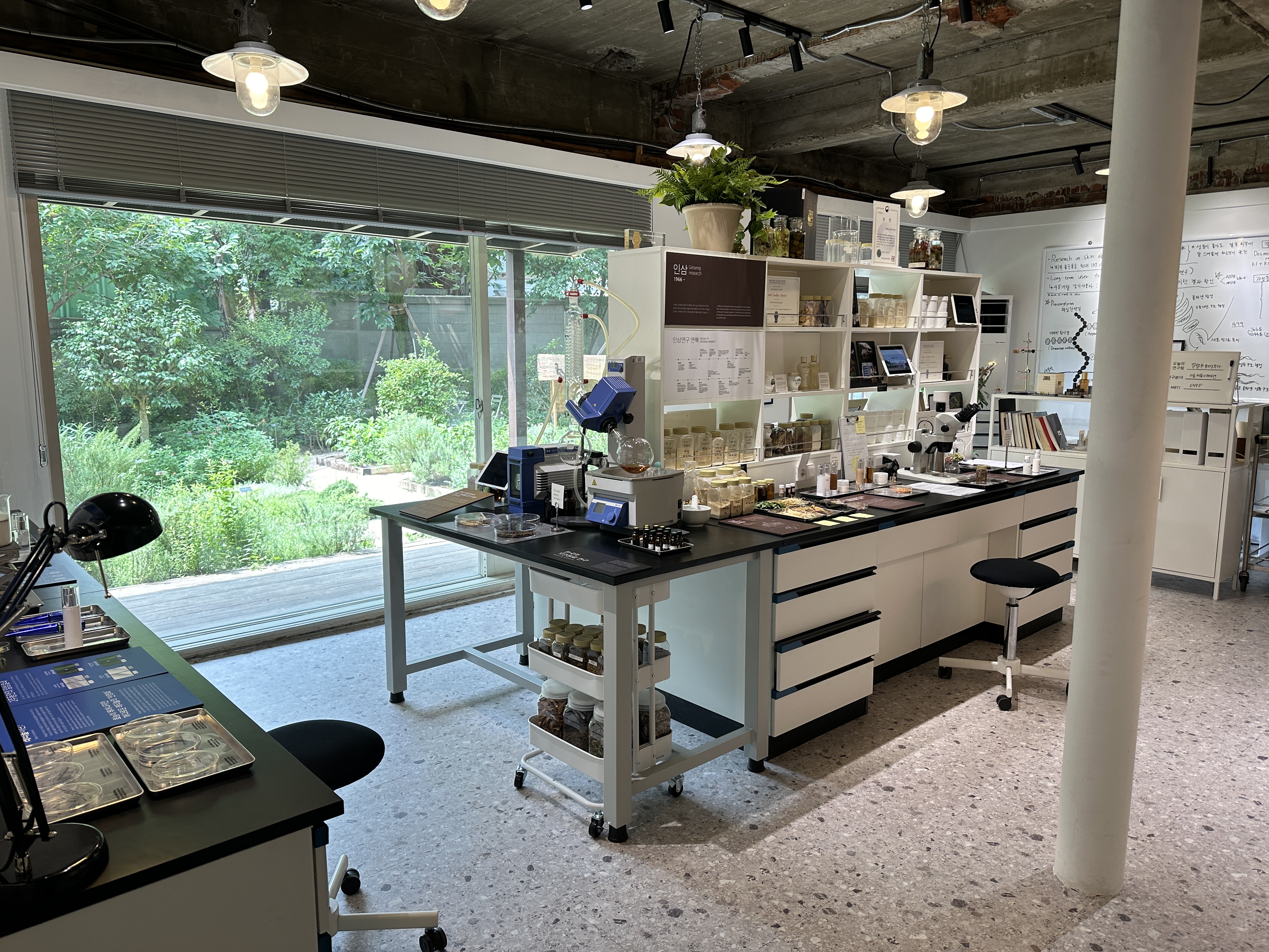 story A 대표 이미지