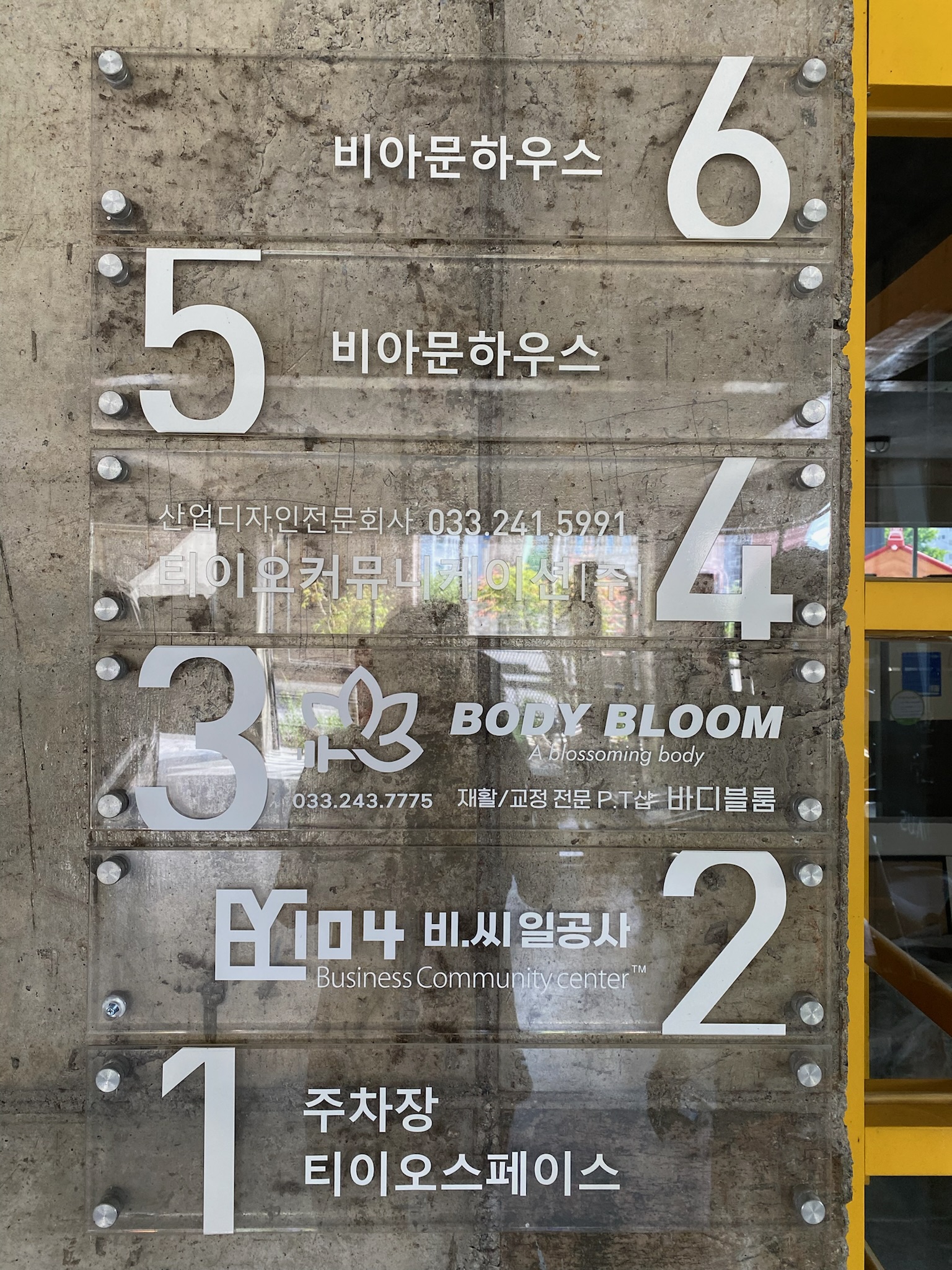 바디블룸 대표 이미지