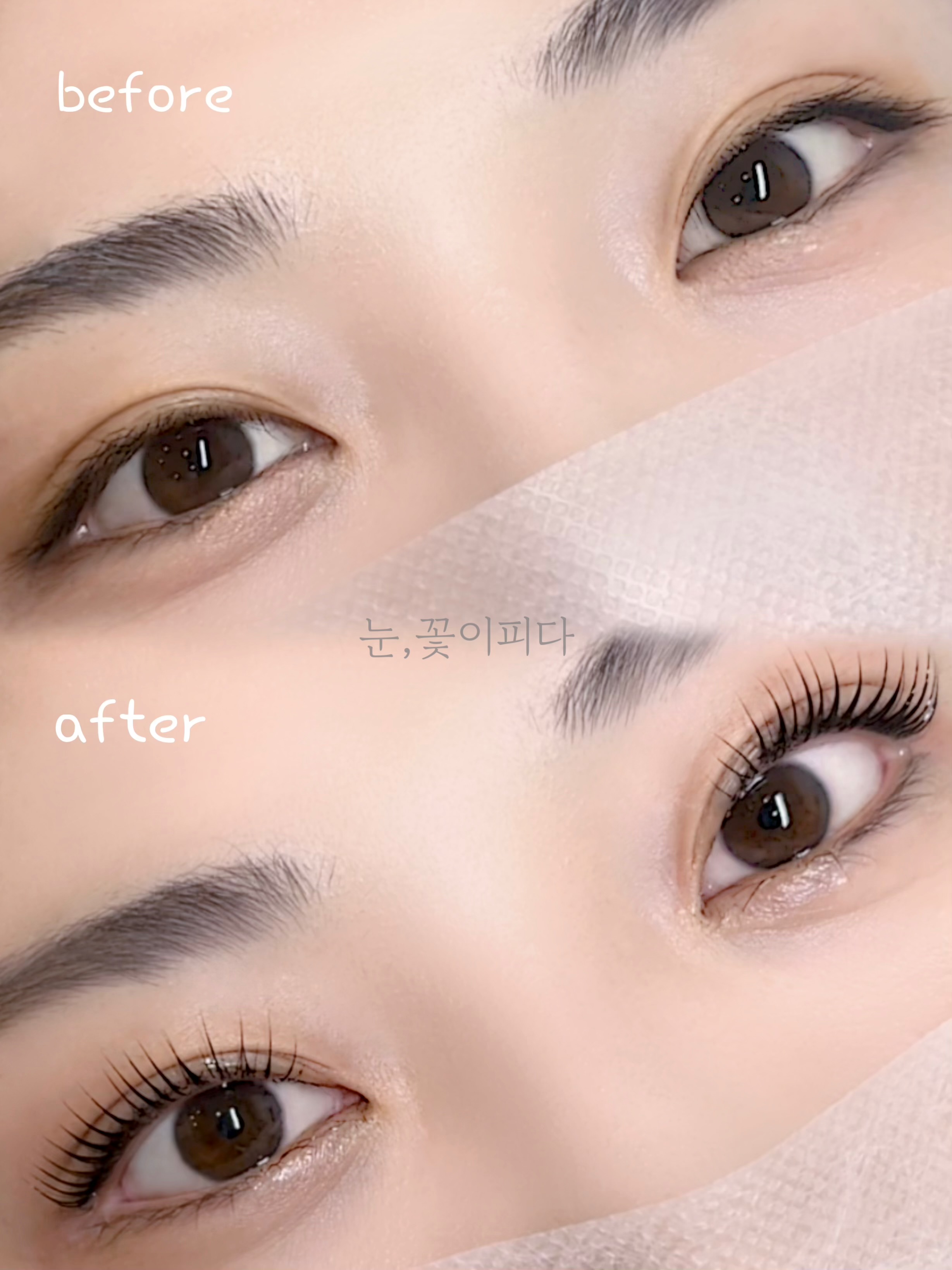 눈,꽃이피다