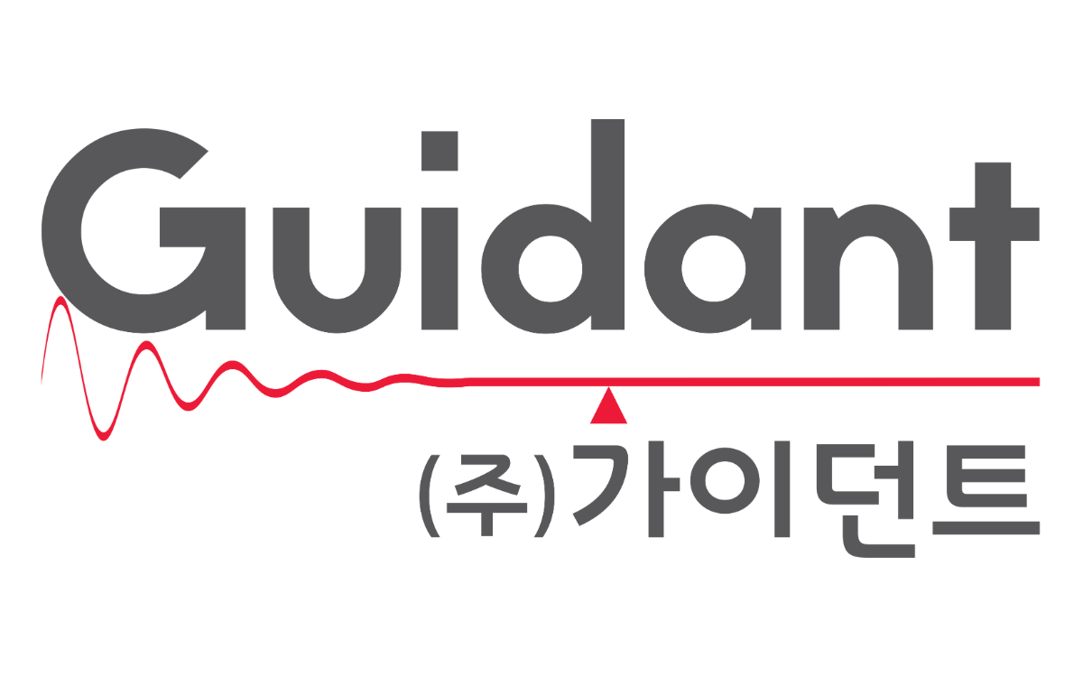 가이던트