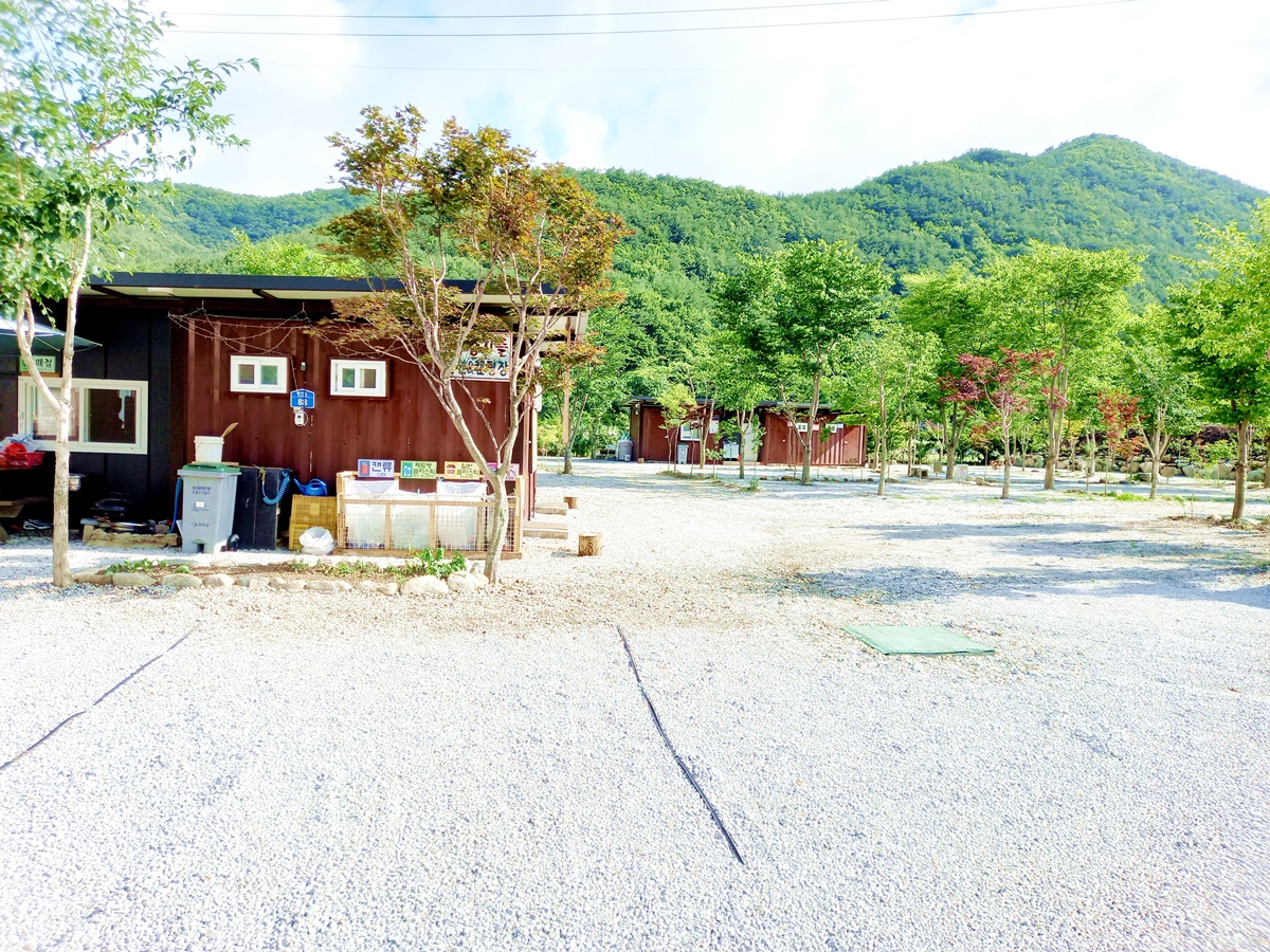 캠핑장 사진
