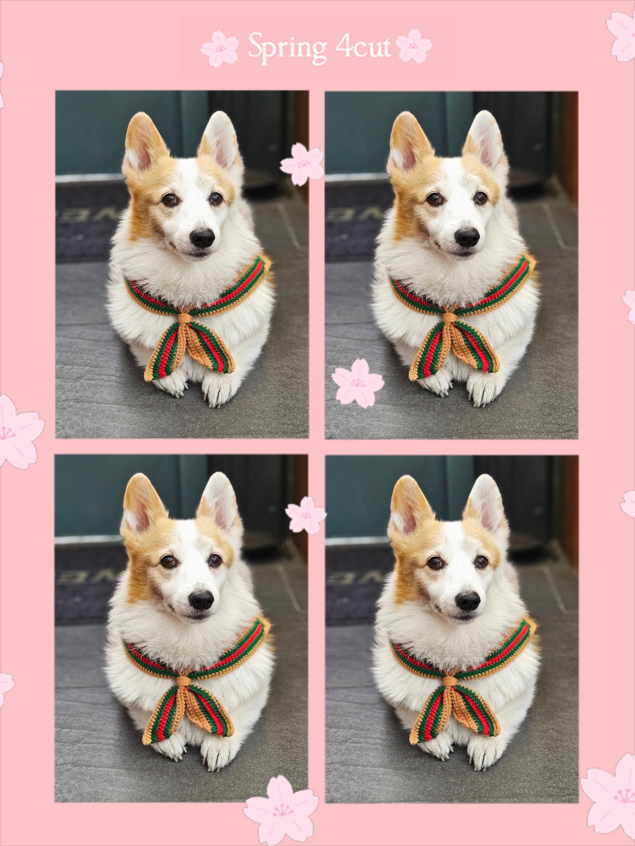 by양선생