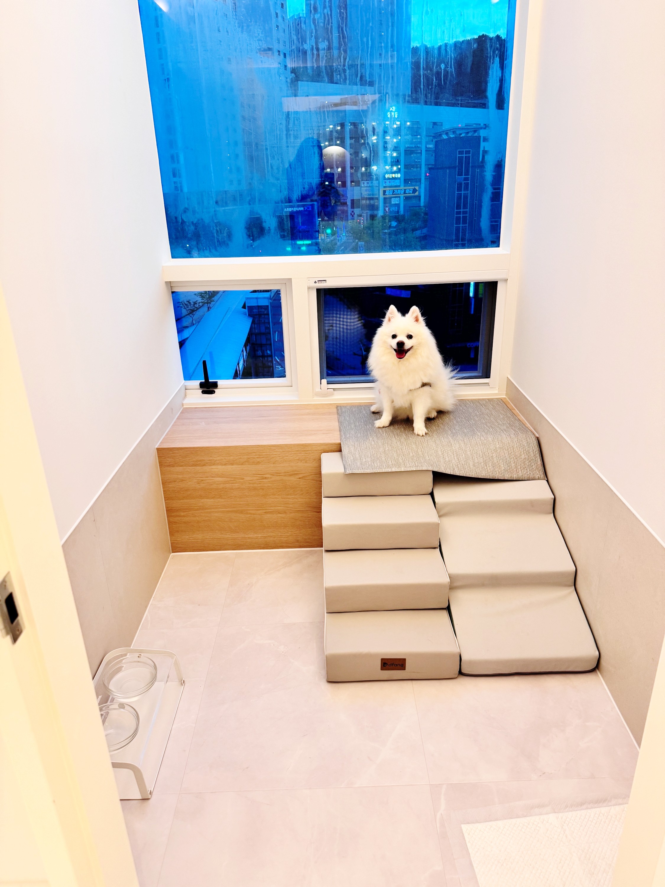 꼬모댕프라이빗애견호텔 대표 이미지