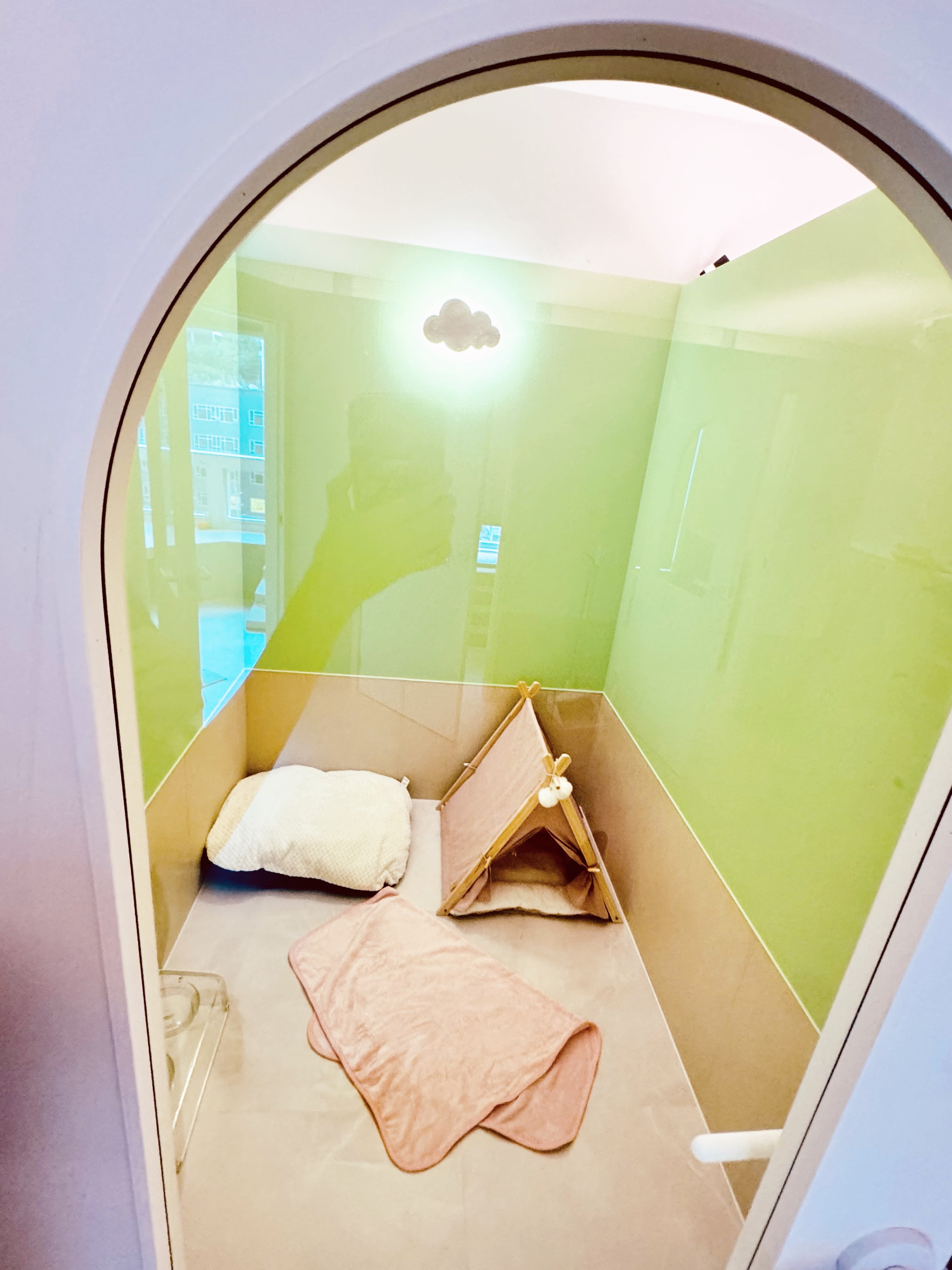 꼬모댕프라이빗애견호텔 대표 이미지