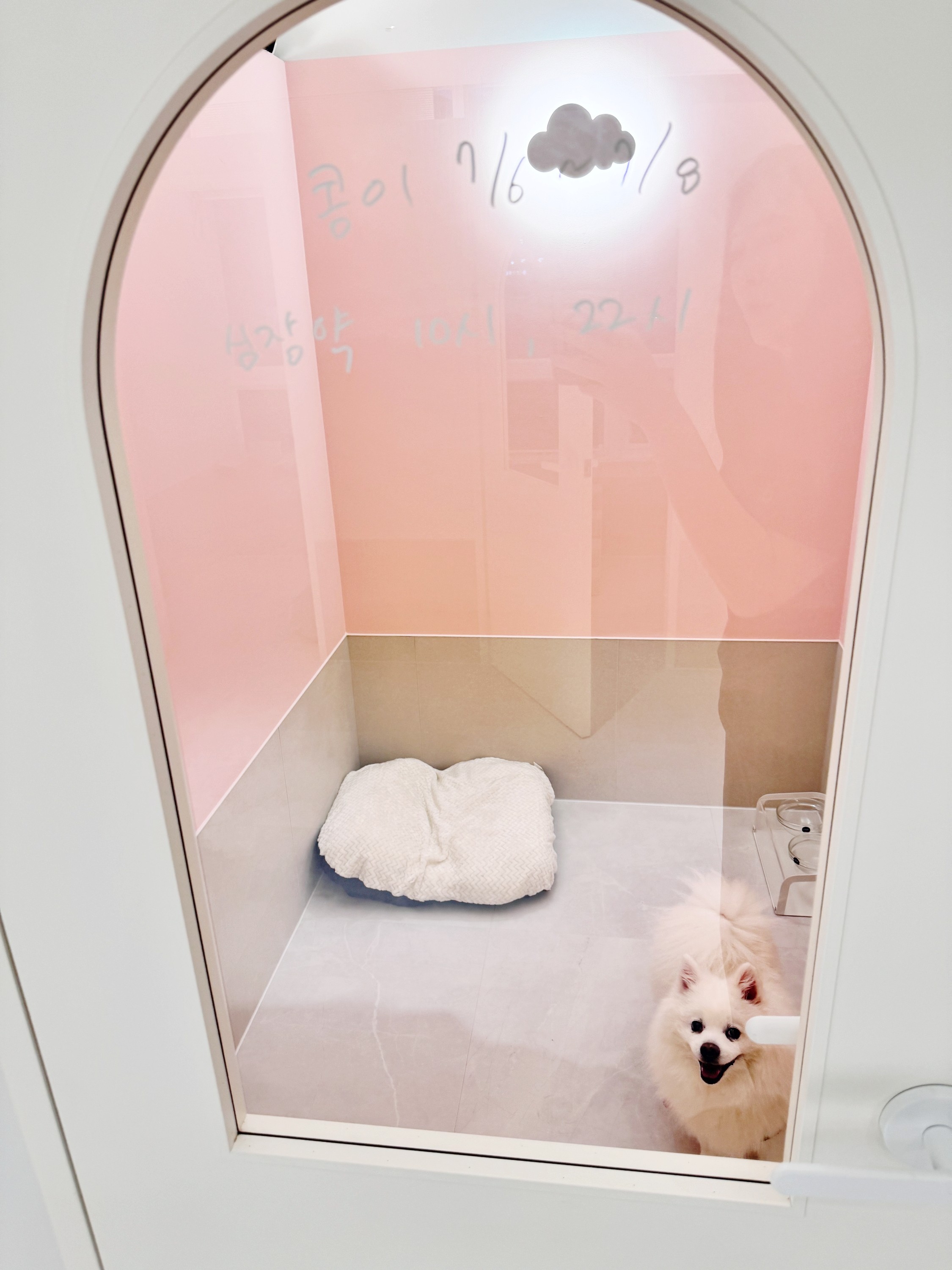 꼬모댕프라이빗애견호텔 대표 이미지