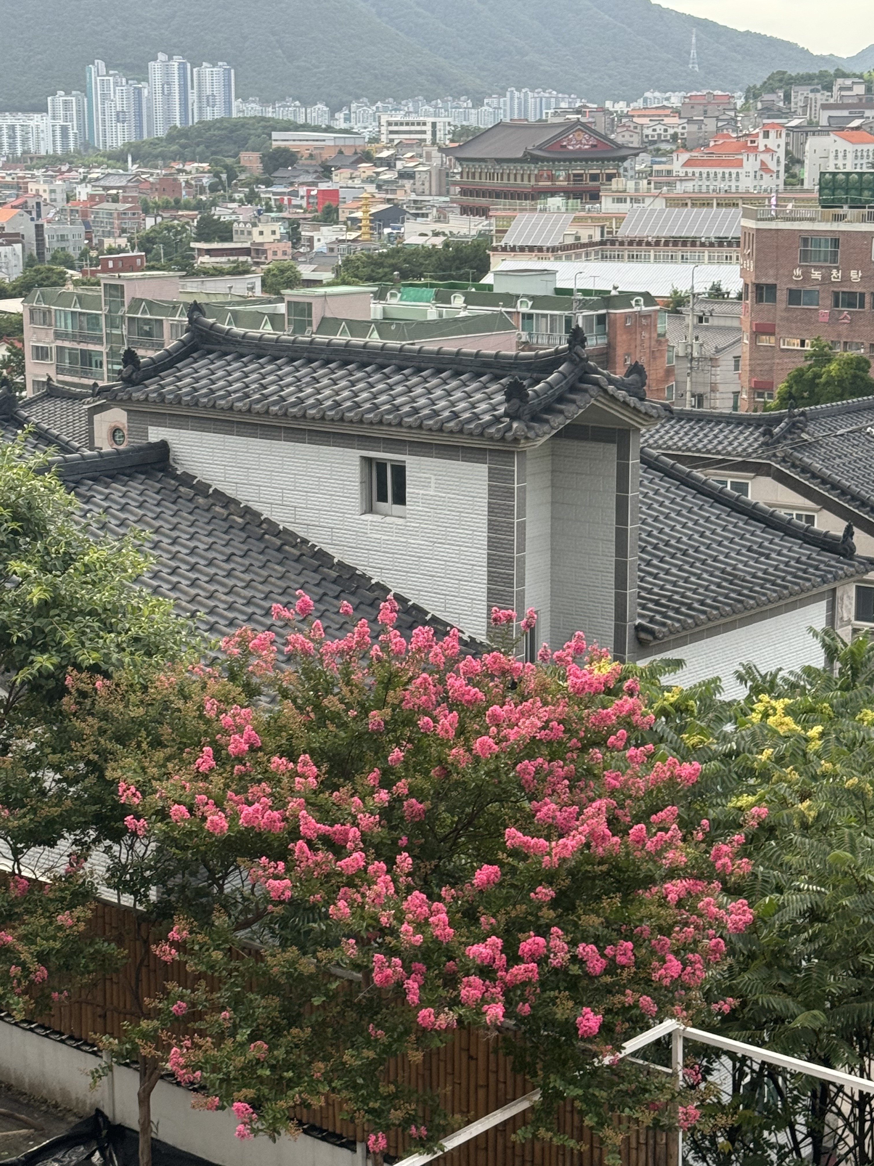 라운지언덕 브런치카페 6