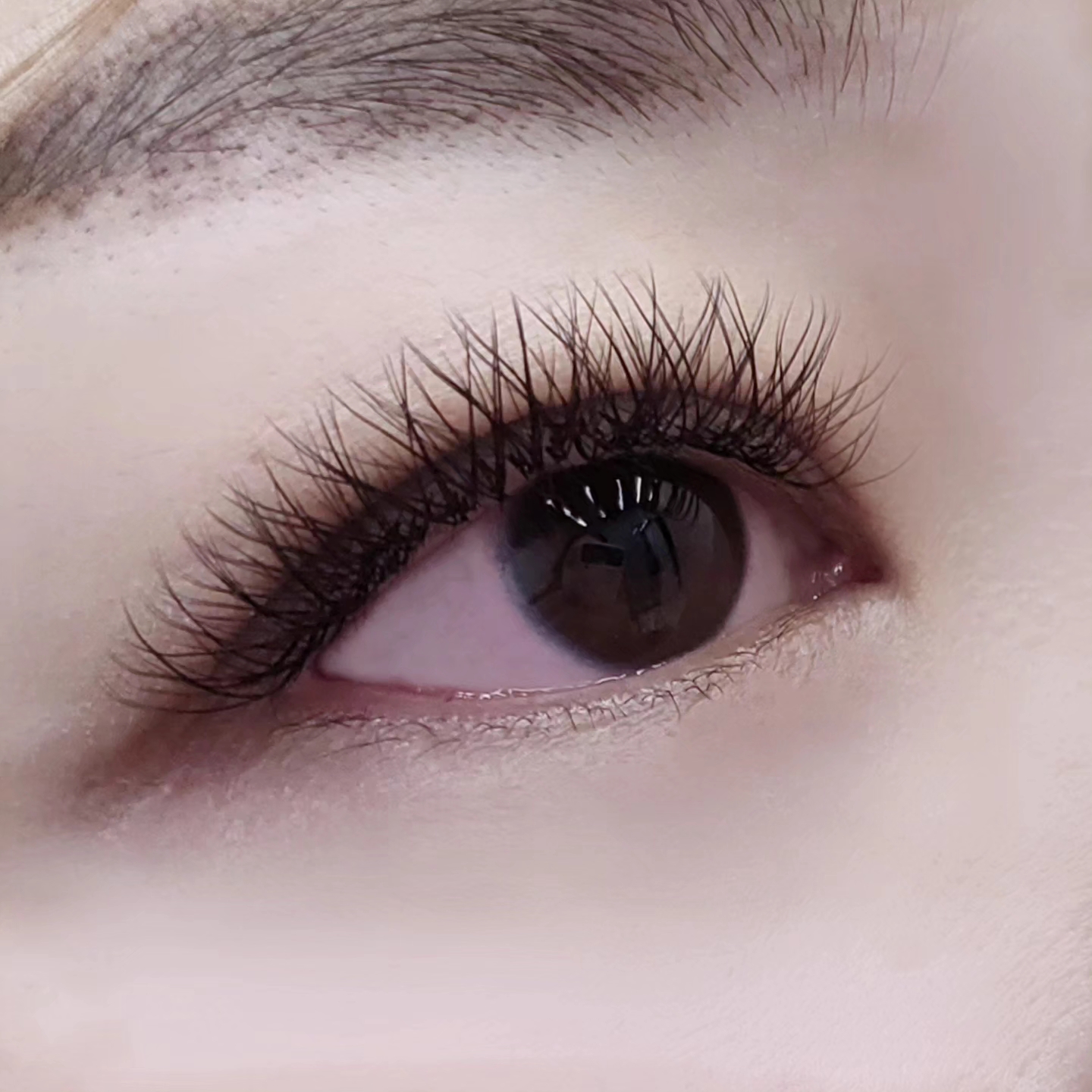 루루 대표 이미지