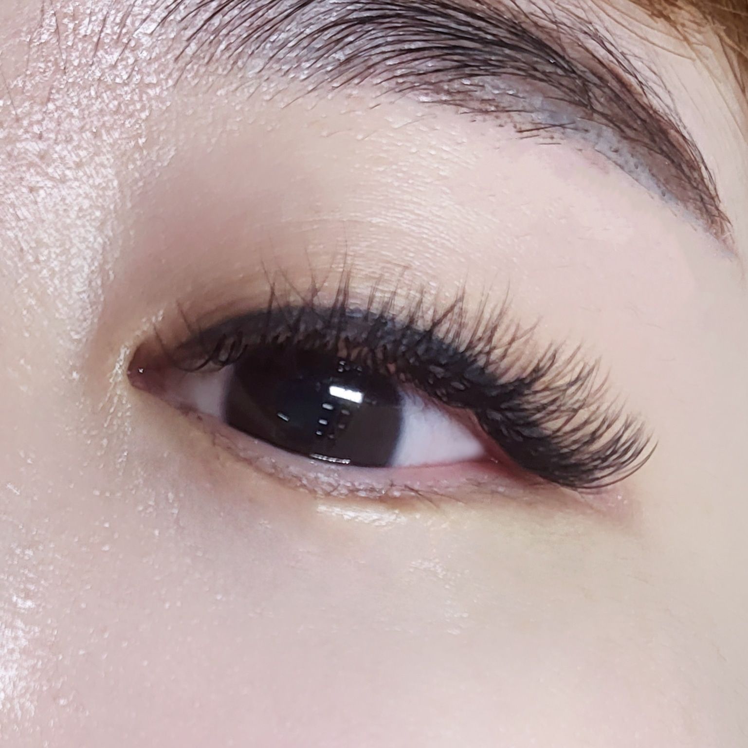 루루 대표 이미지