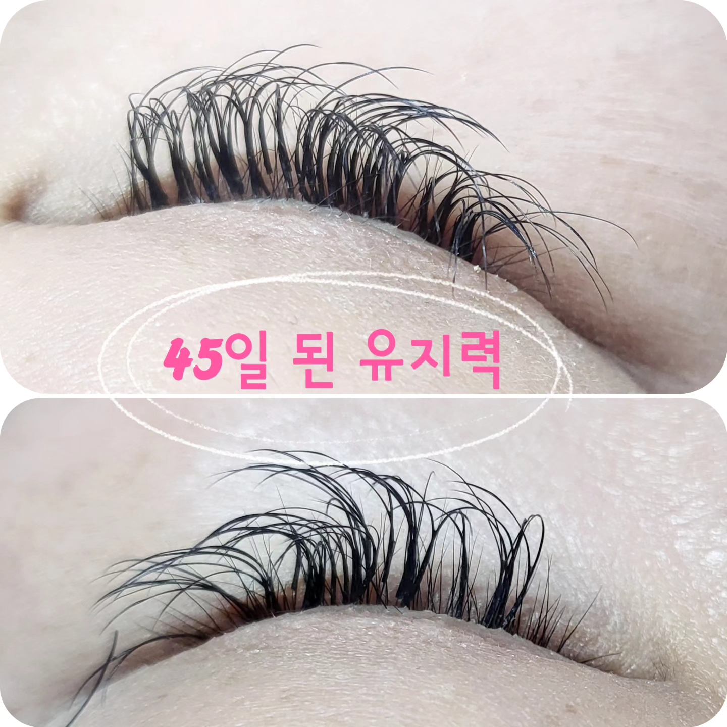 루루 대표 이미지