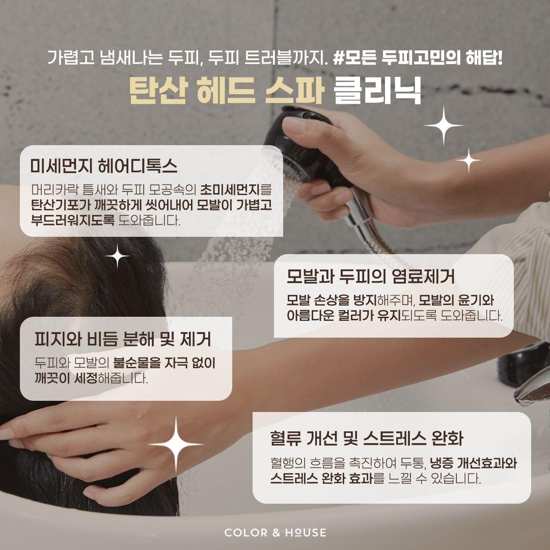 컬러앤하우스 세종점