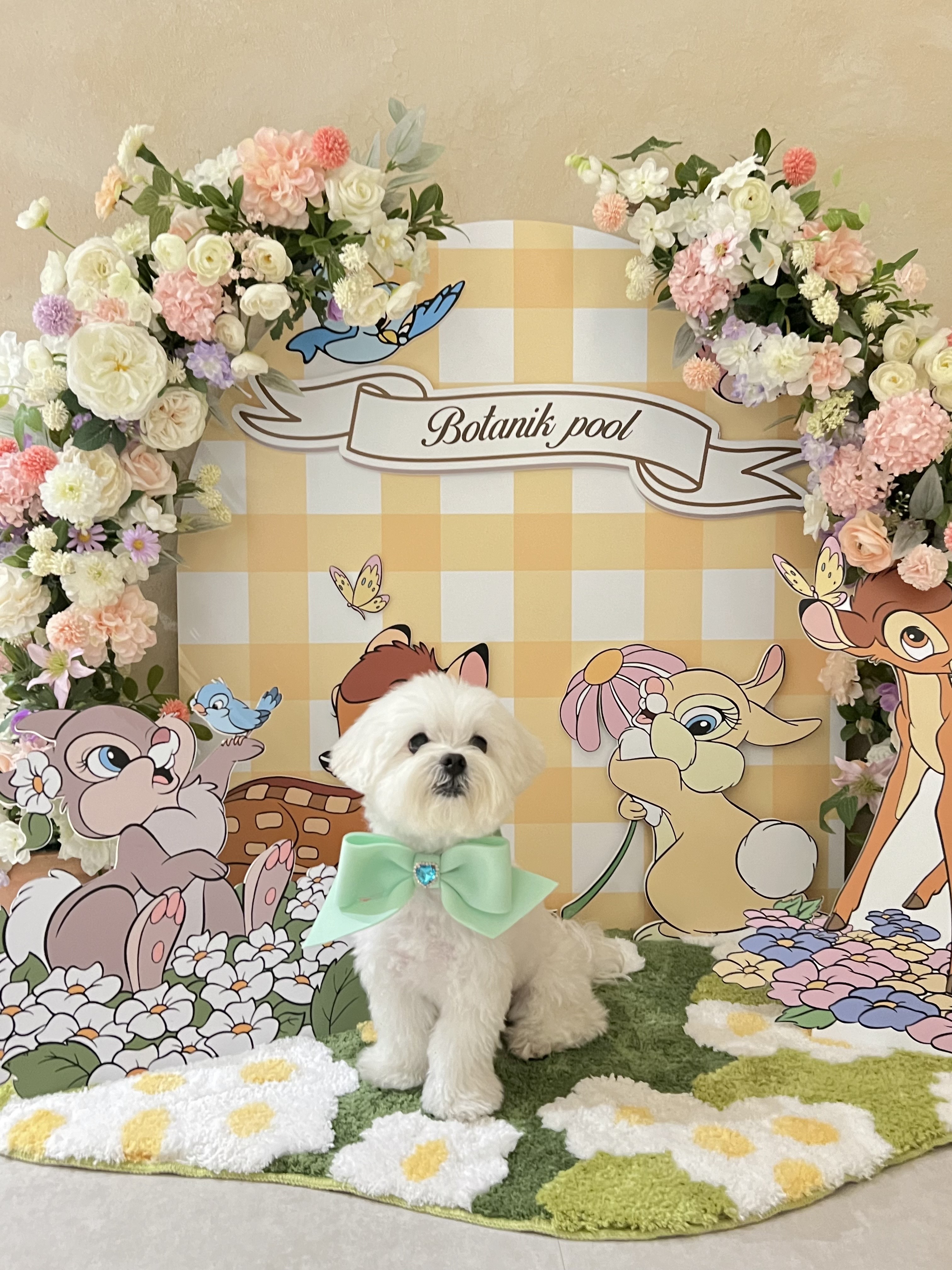 보타닉풀 대표 이미지