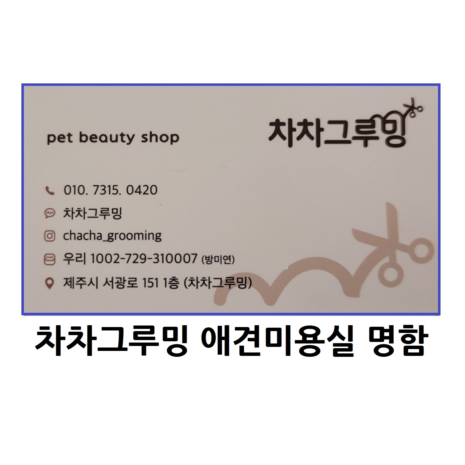 차차그루밍 애견미용실 대표 이미지