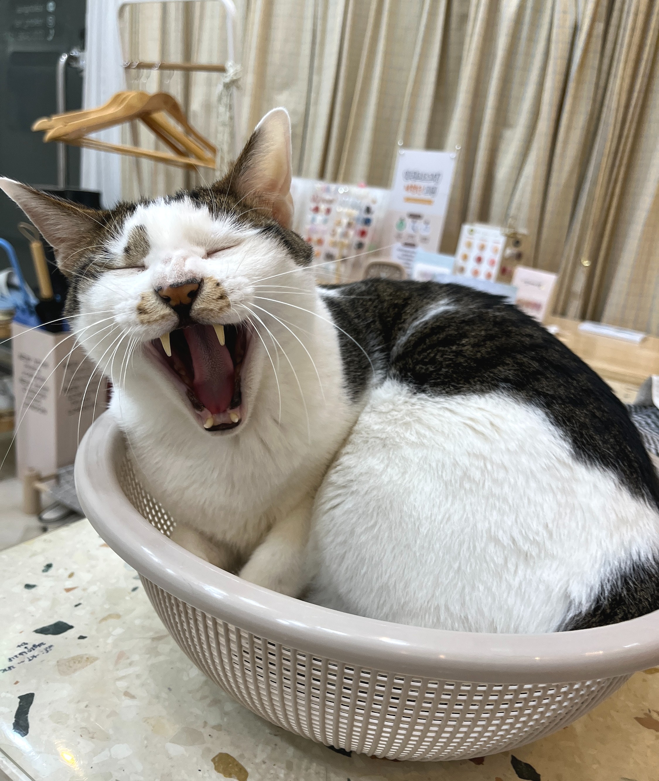 나콩네일 대표 이미지