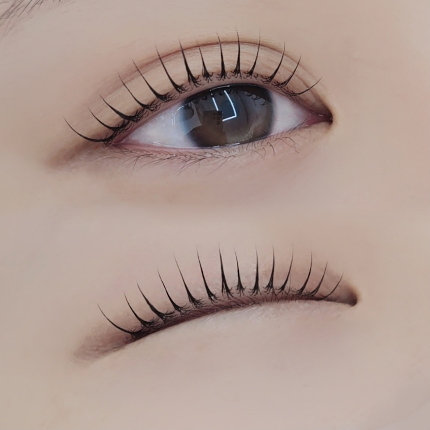 엔조브로우 대표 이미지