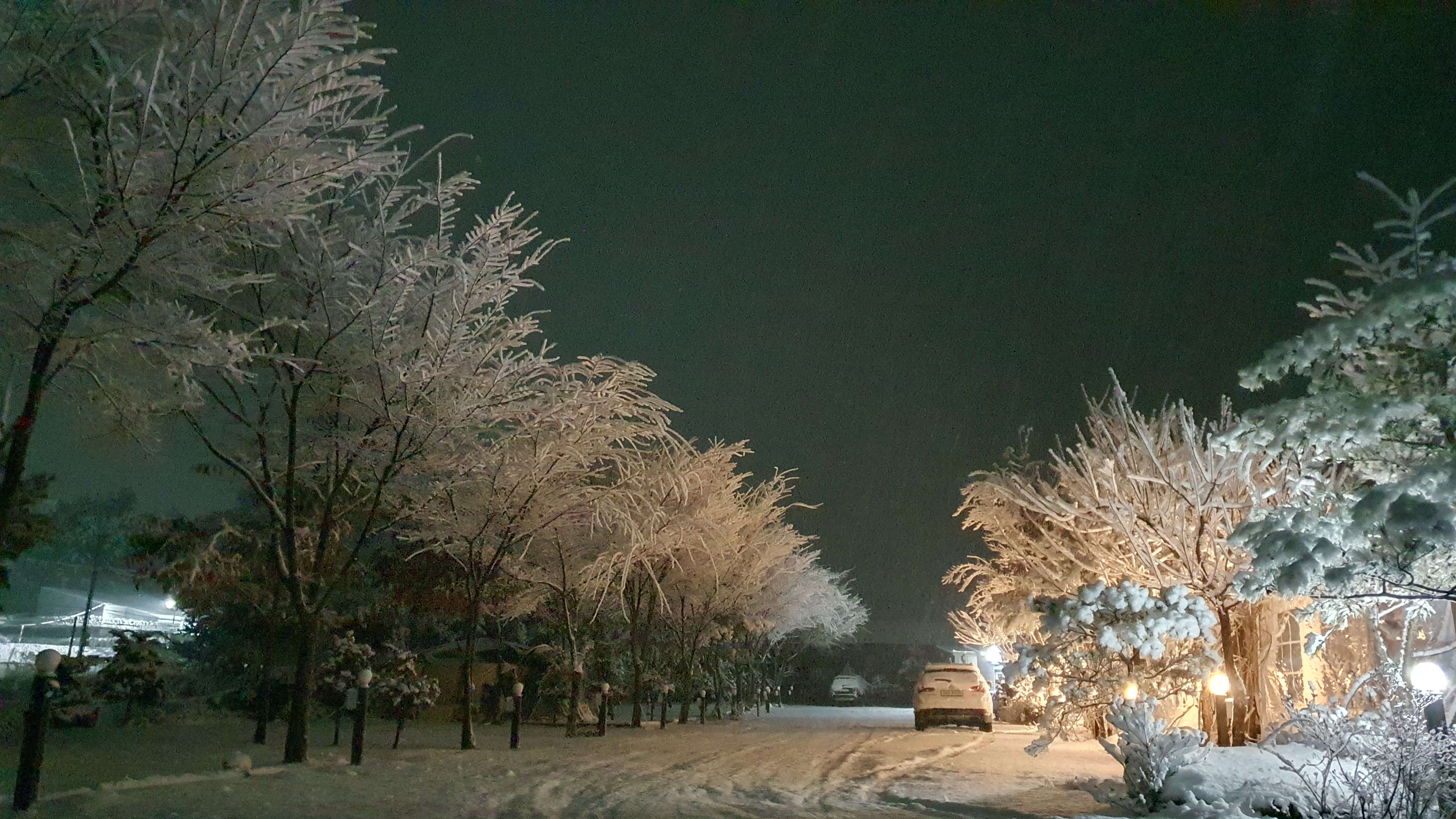 다희펜션캠핑장