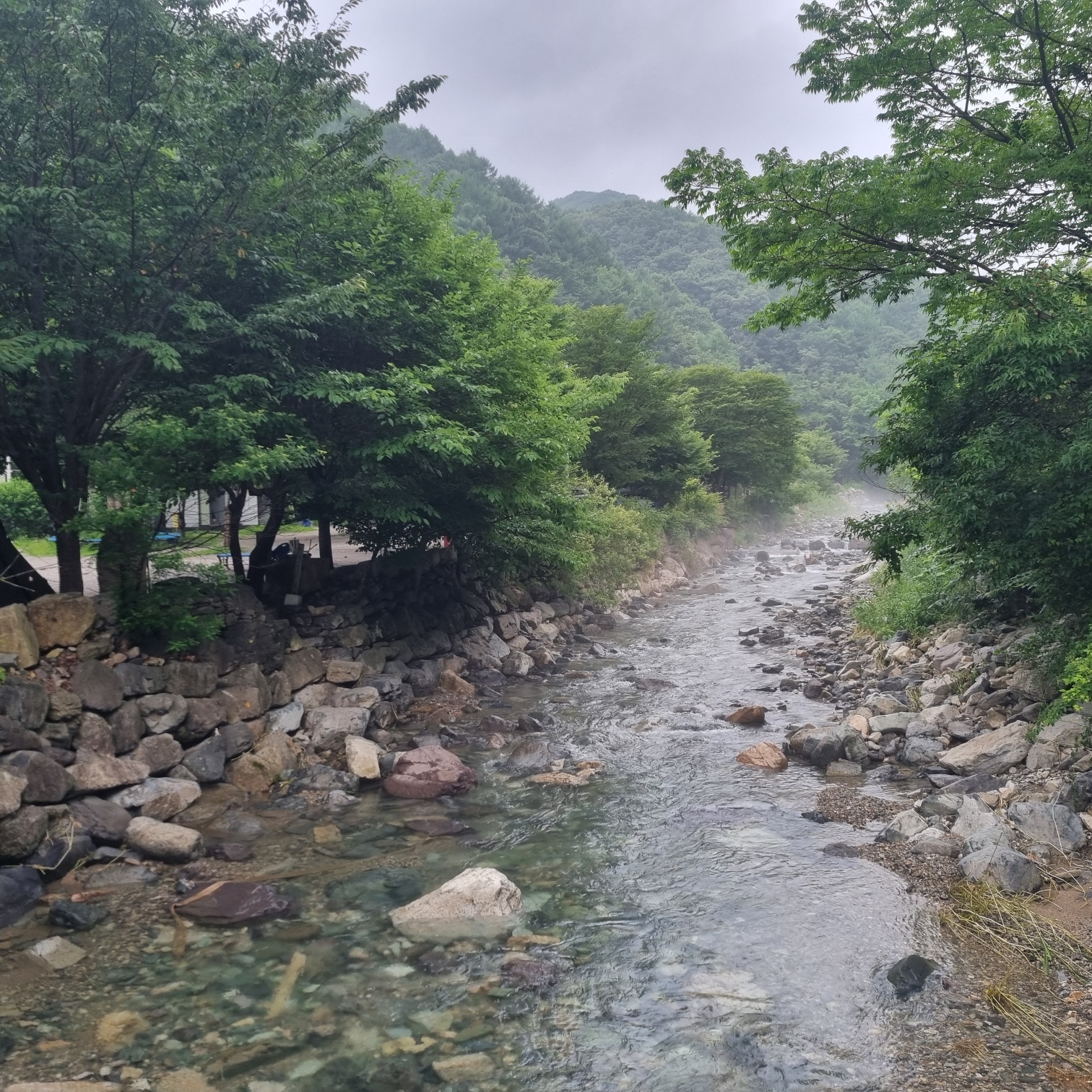 담터금학캠핑장