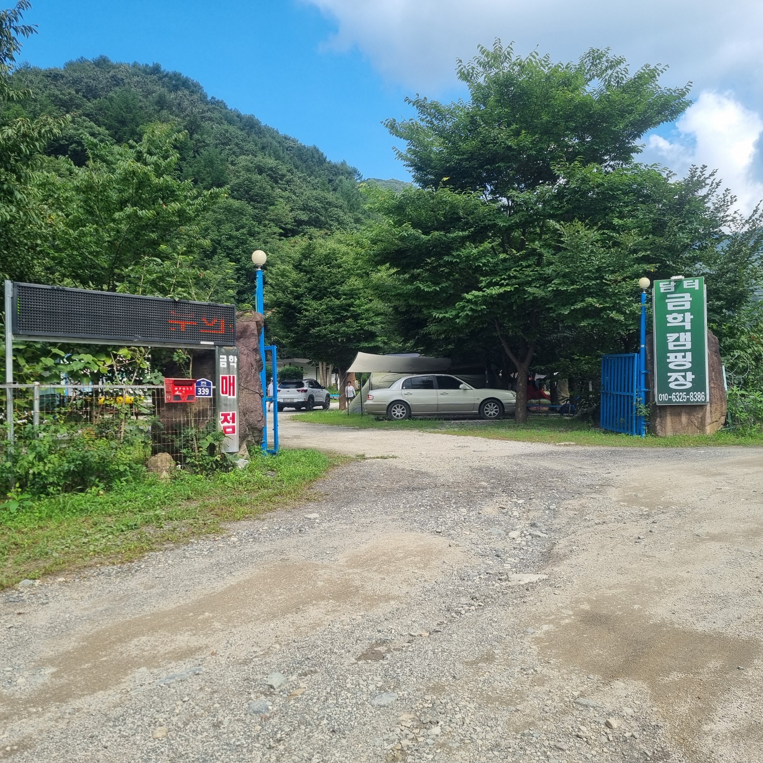 담터 금학캠핑장
