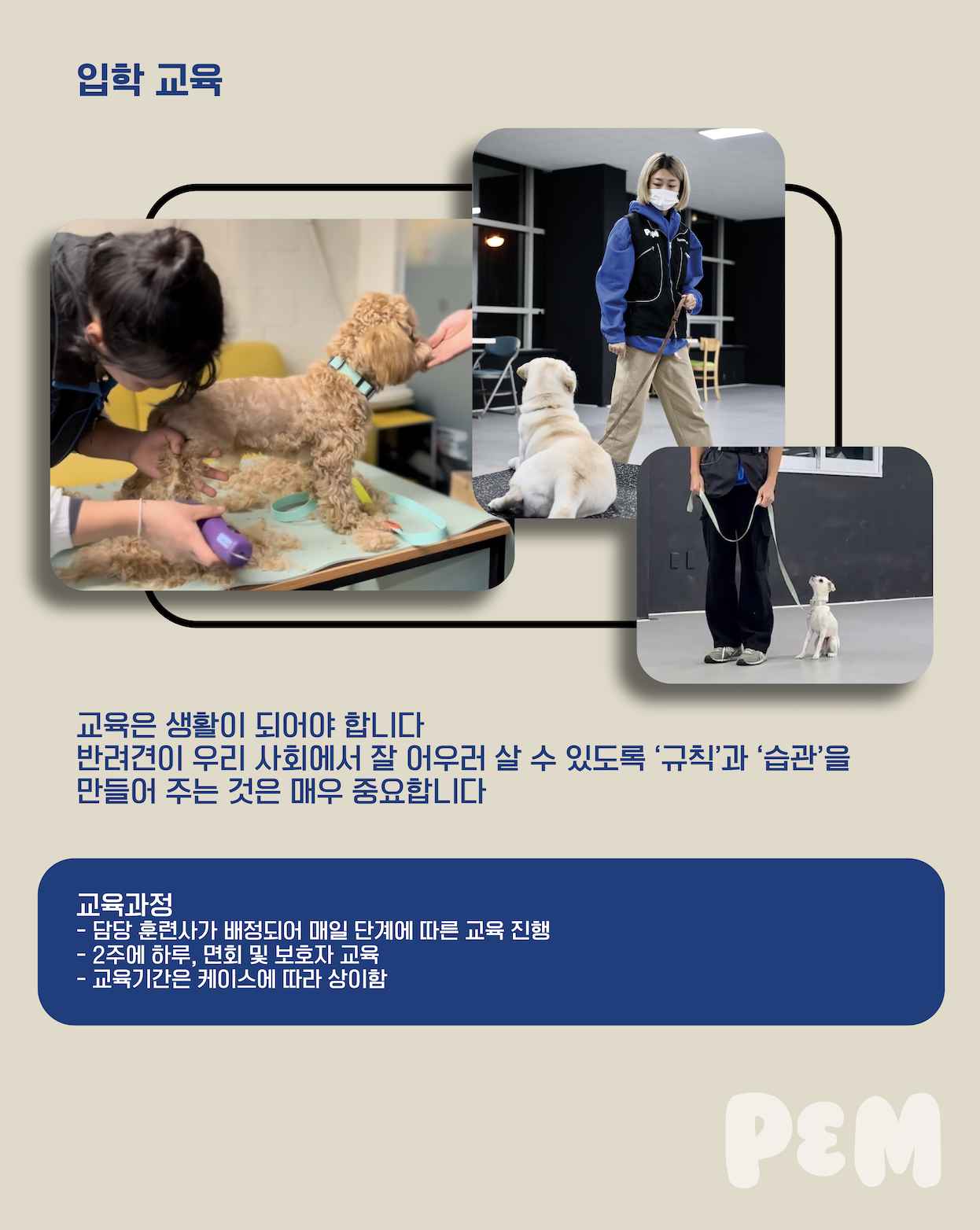 P&M 반려견교육센터 대전점 대표 이미지