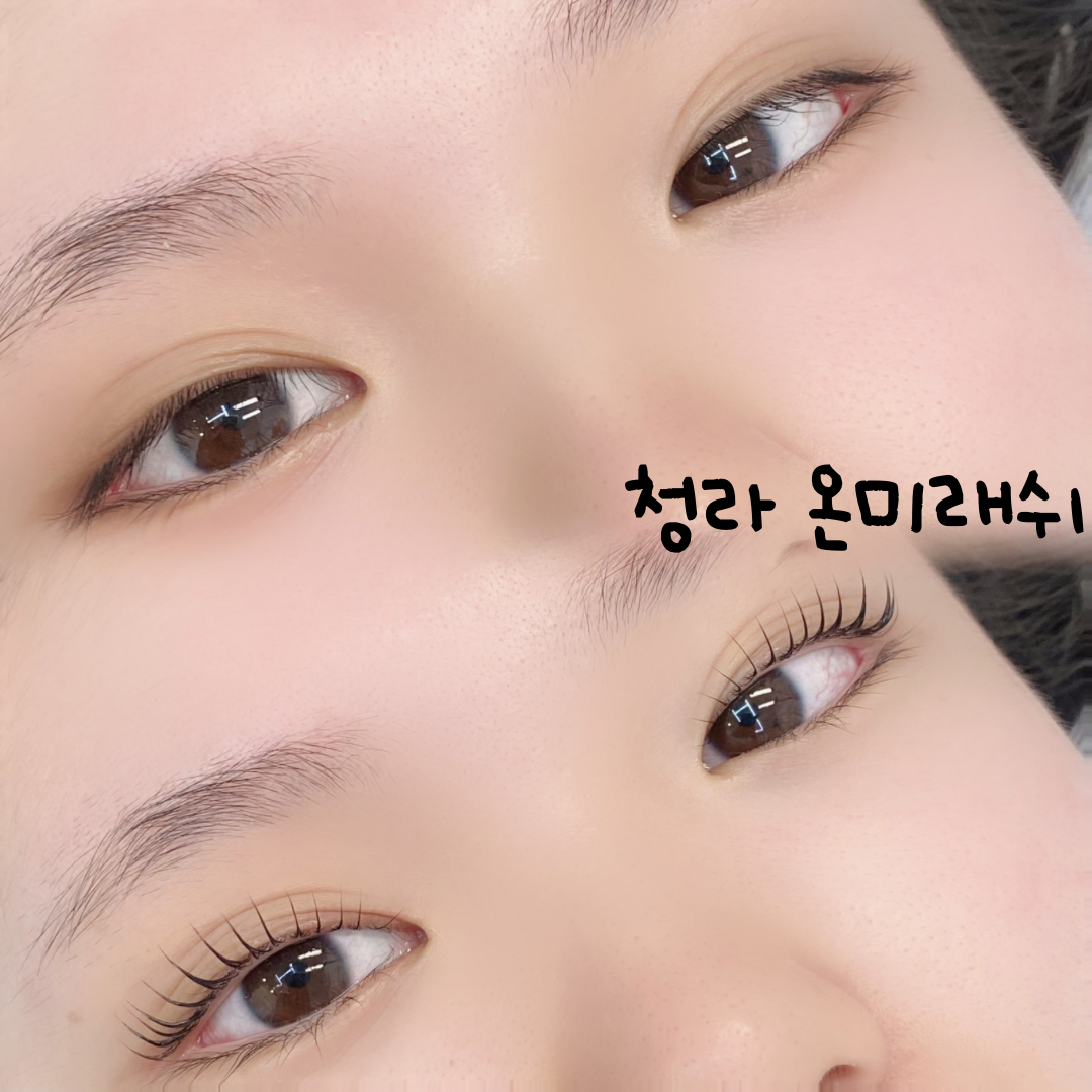 온미래쉬