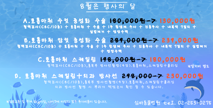 심바동물병원